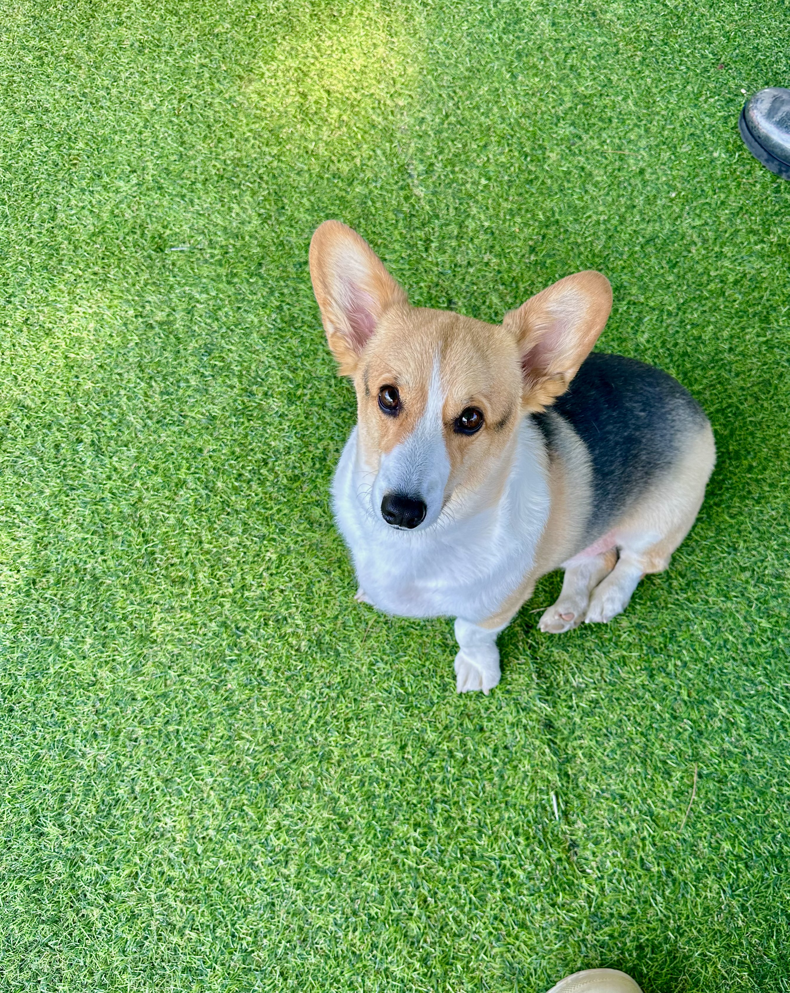 애원카페 대표 이미지