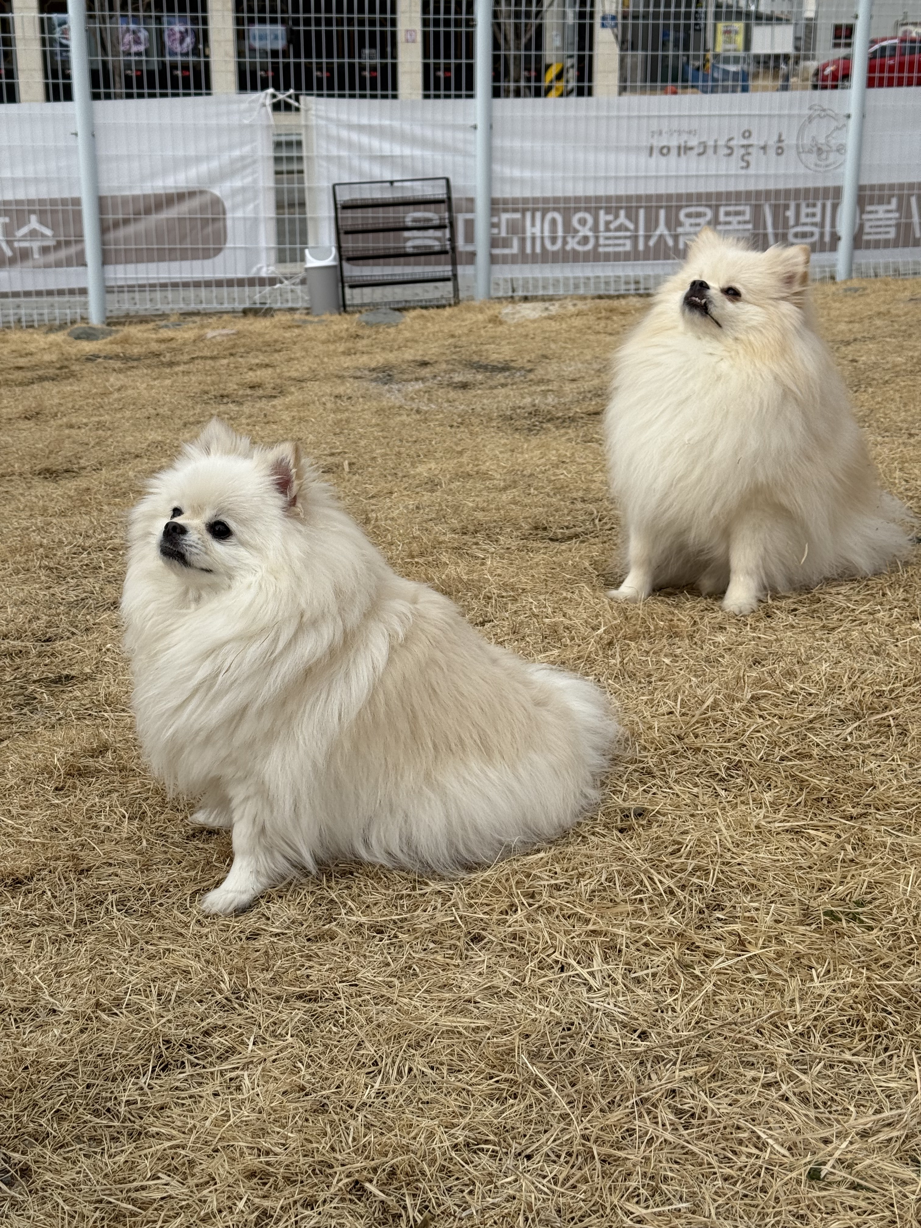 하울리데이 대표 이미지