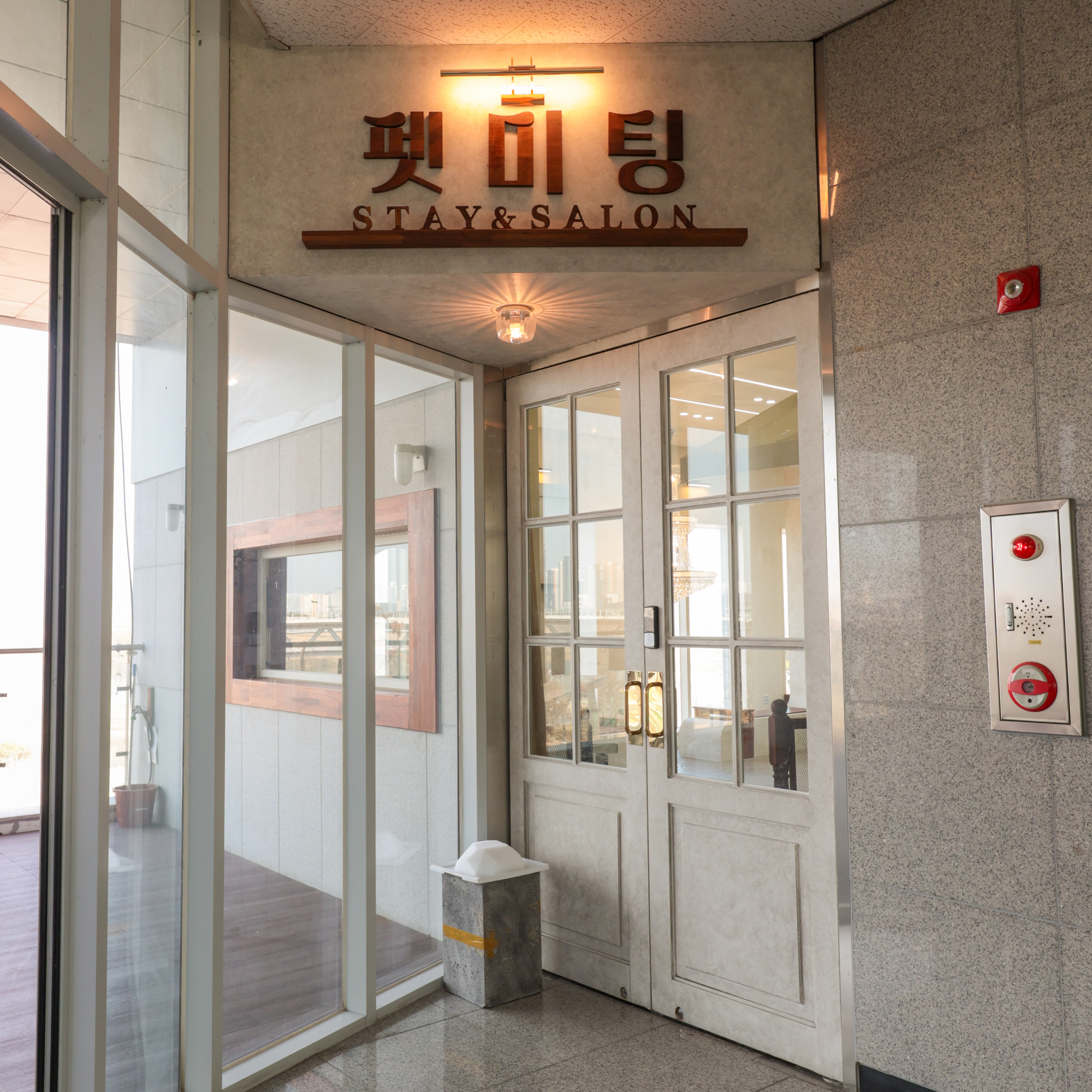 펫미팅 3