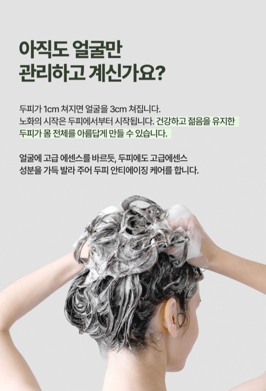 더샤인뷰티
