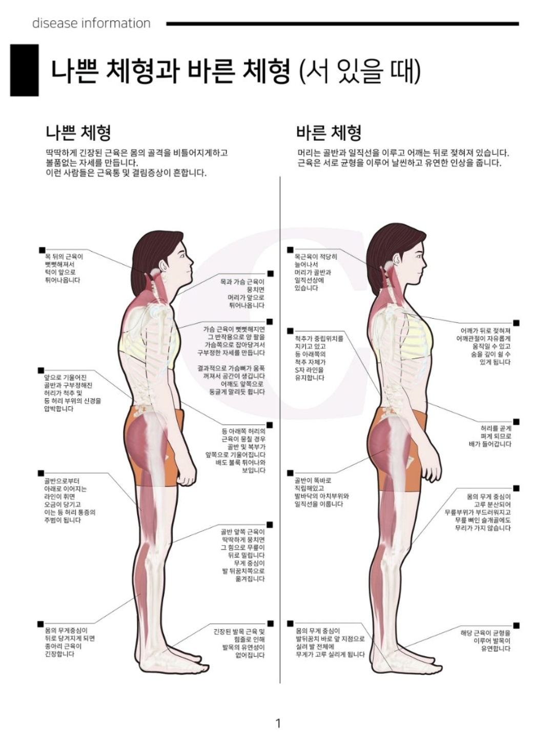 제이도수 photo 6