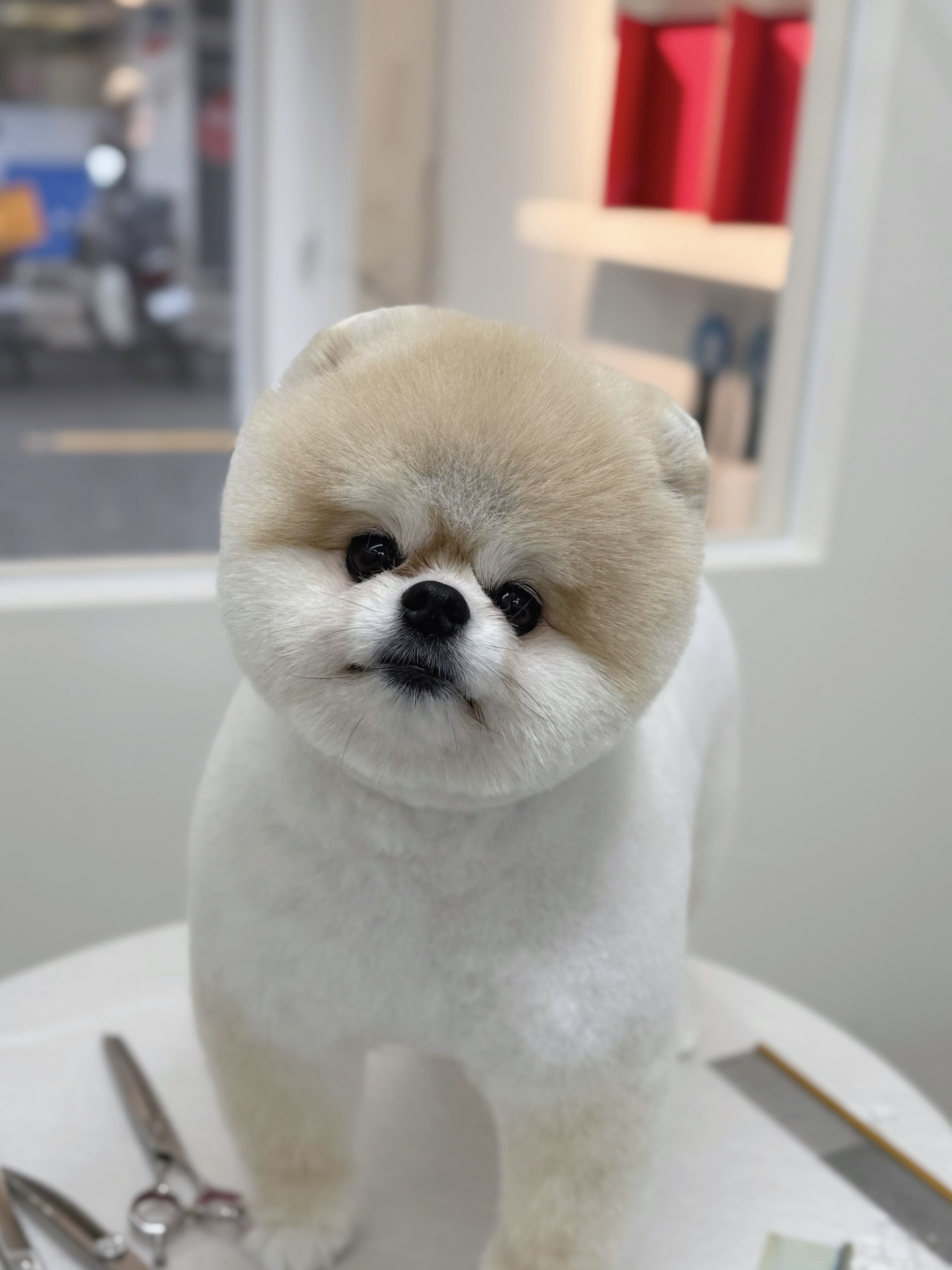 프리펫살롱 대표 이미지