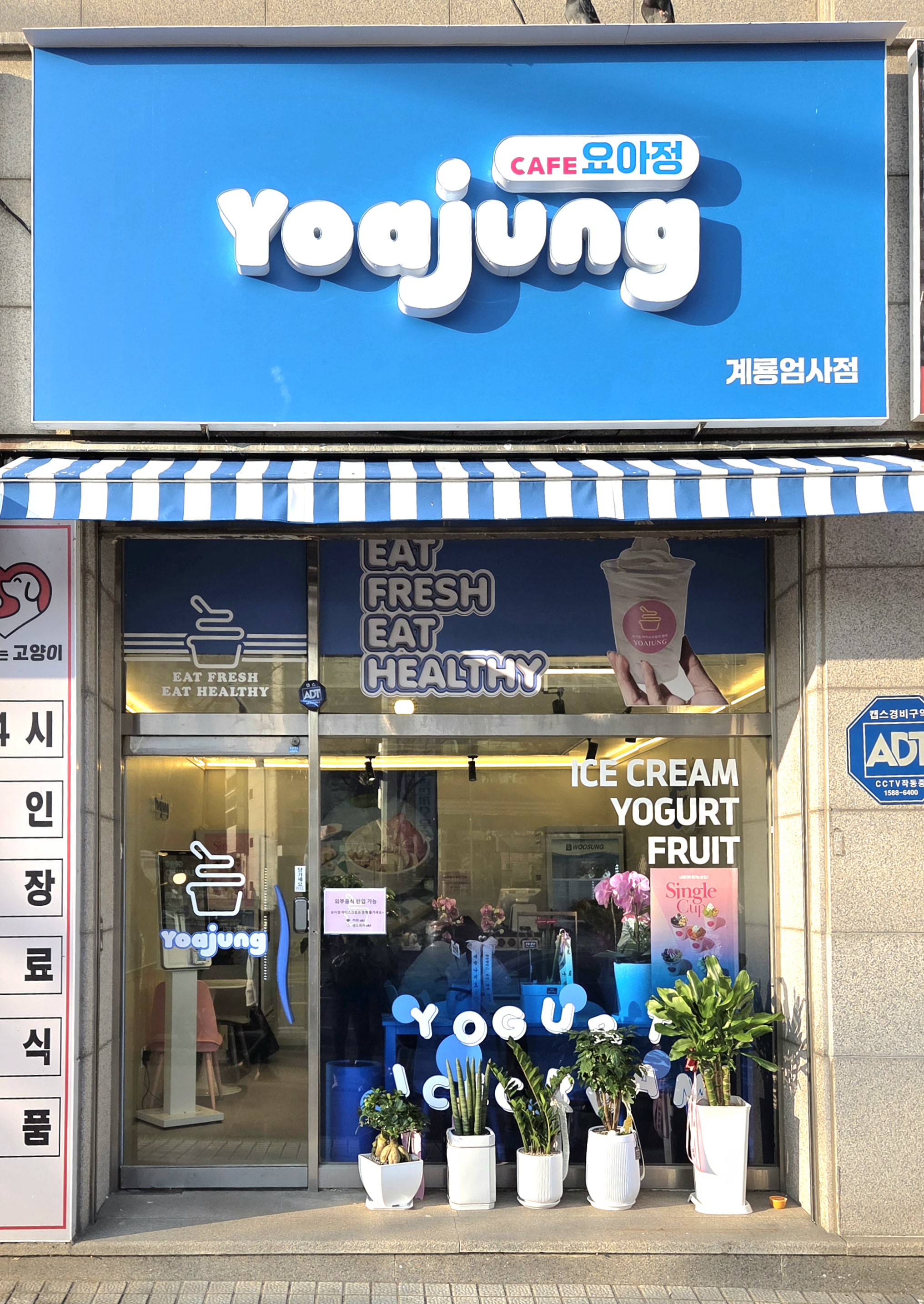 요거트아이스크림의정석 충남계룡엄사점