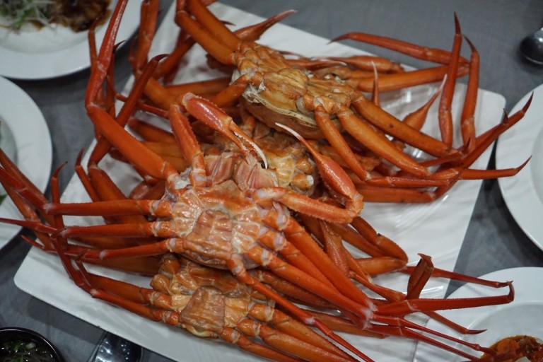 머구리