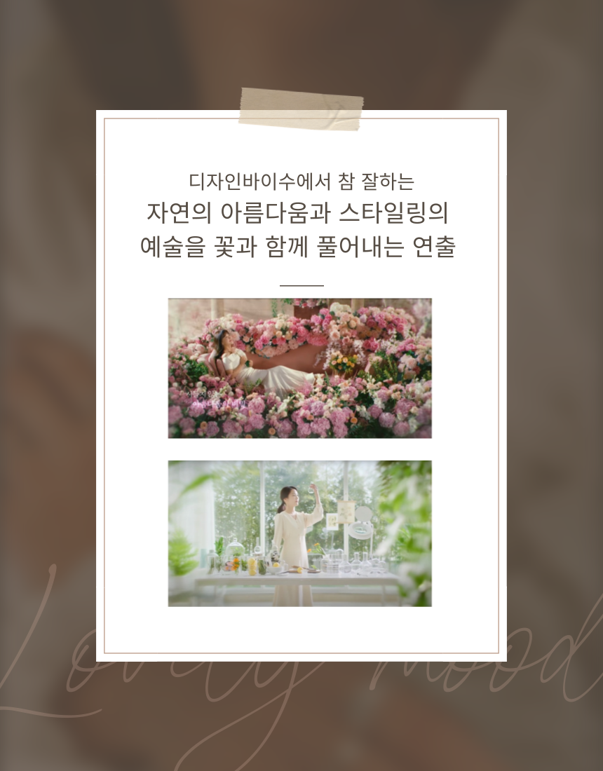 디자인바이수
