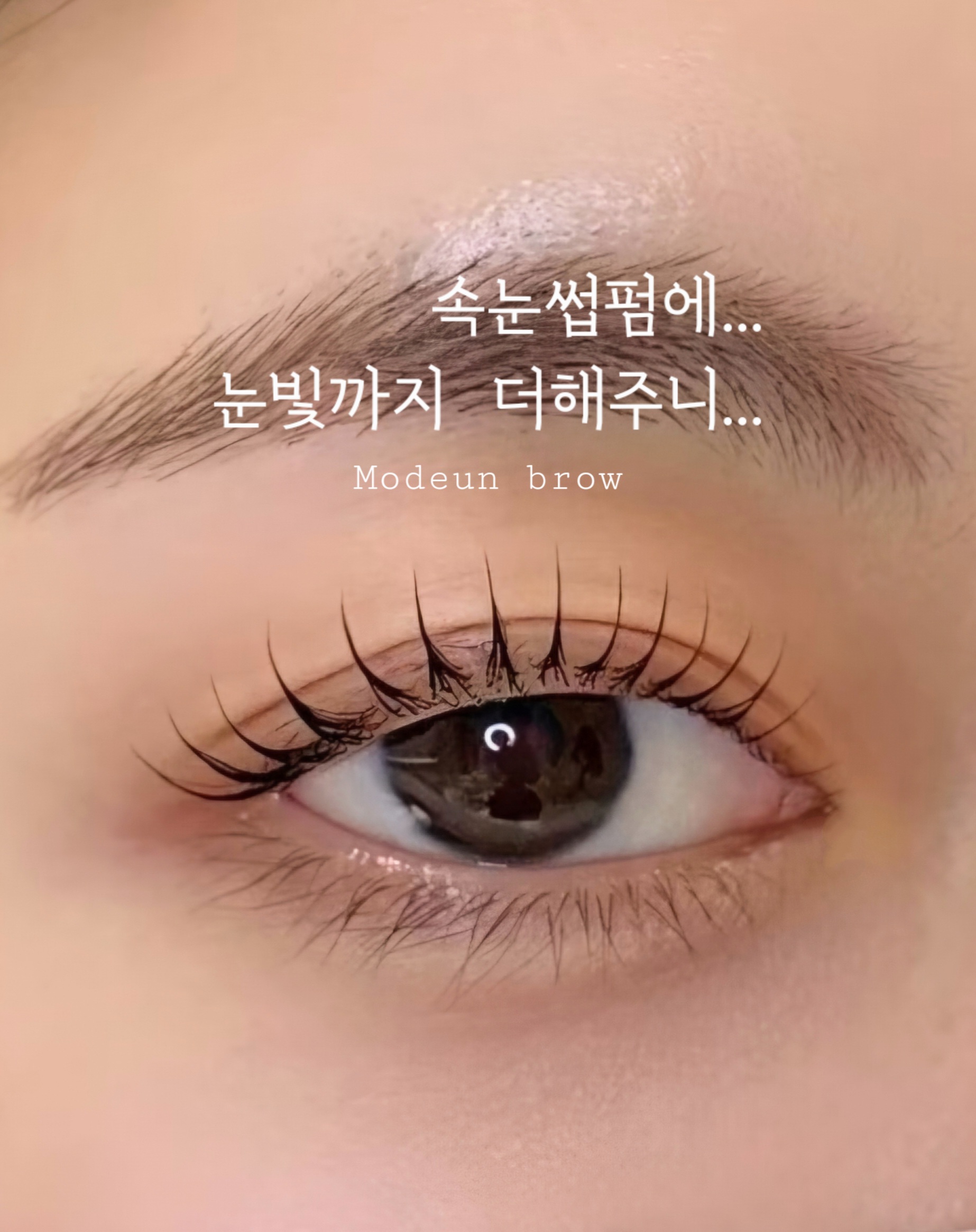 모든브로우