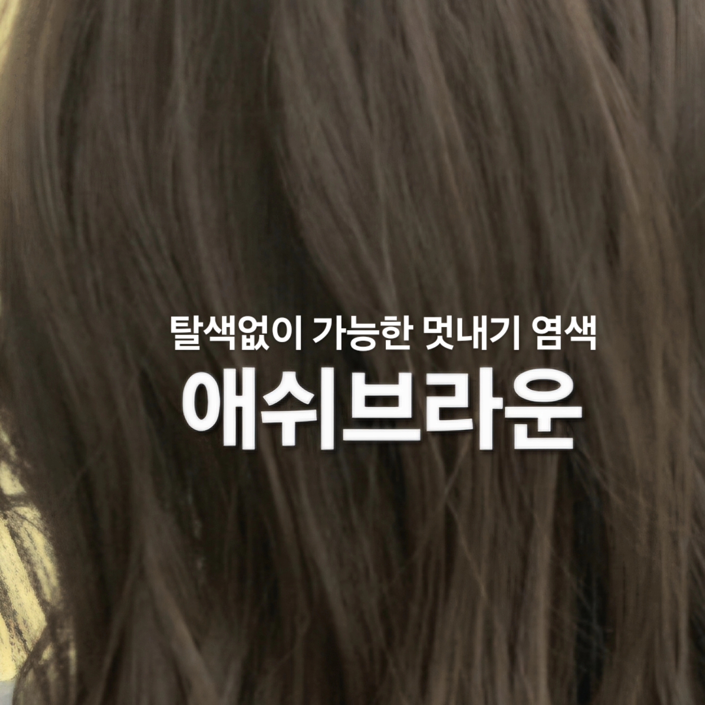 큐사랑 경주지사