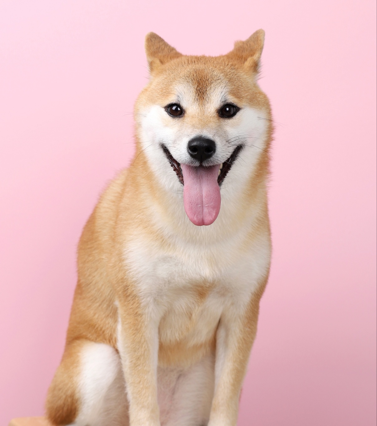 오로지 헤어 동탄점