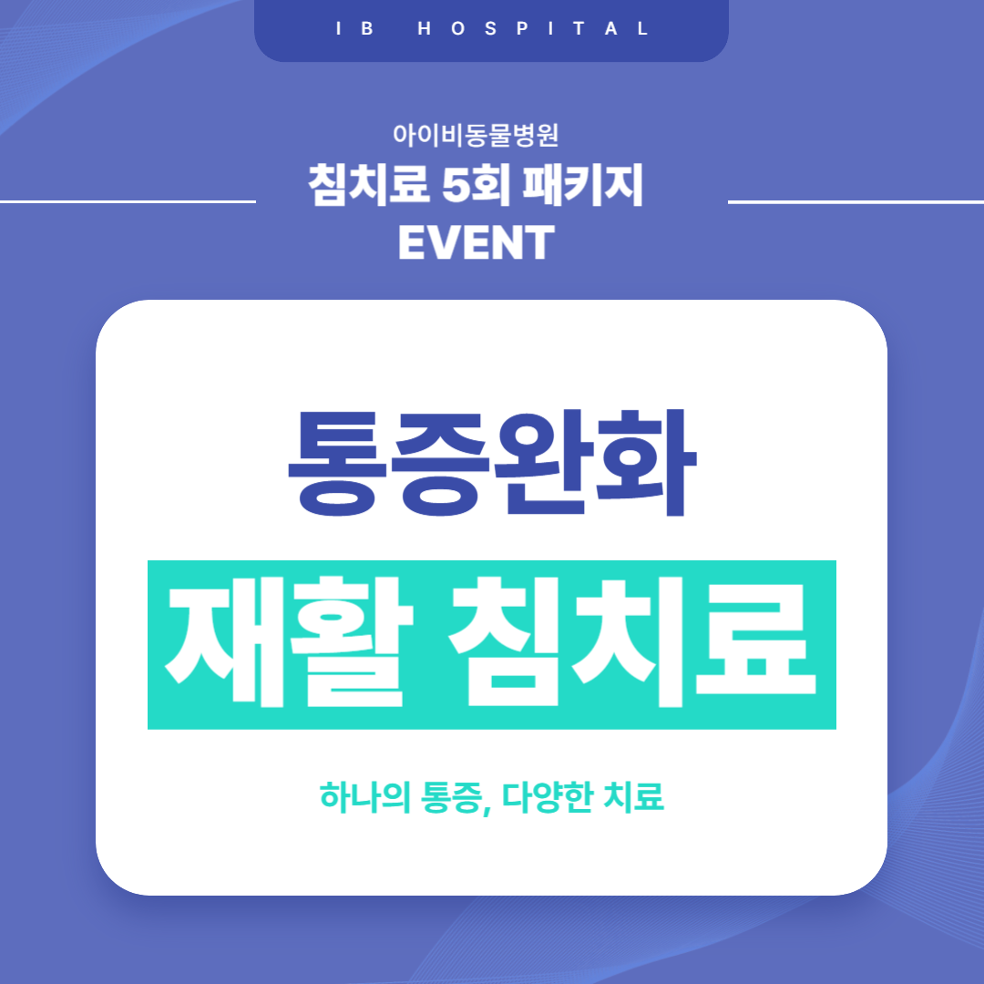 아이비동물병원 대표 이미지