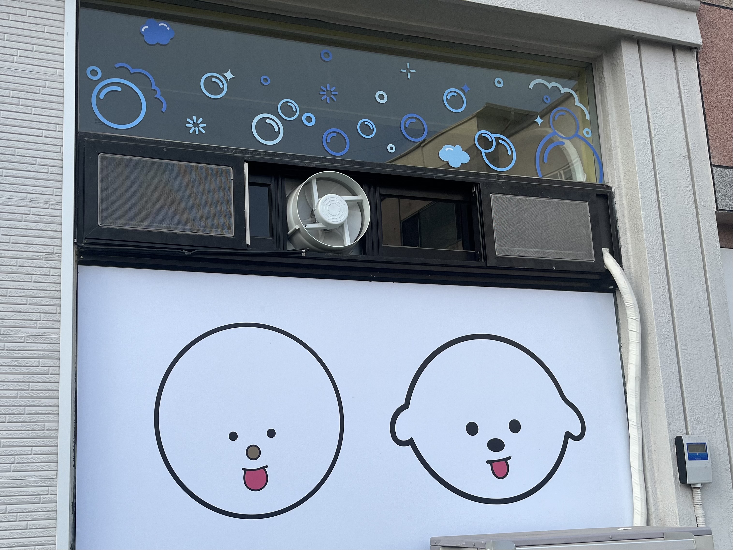 보드랍개 대표 이미지