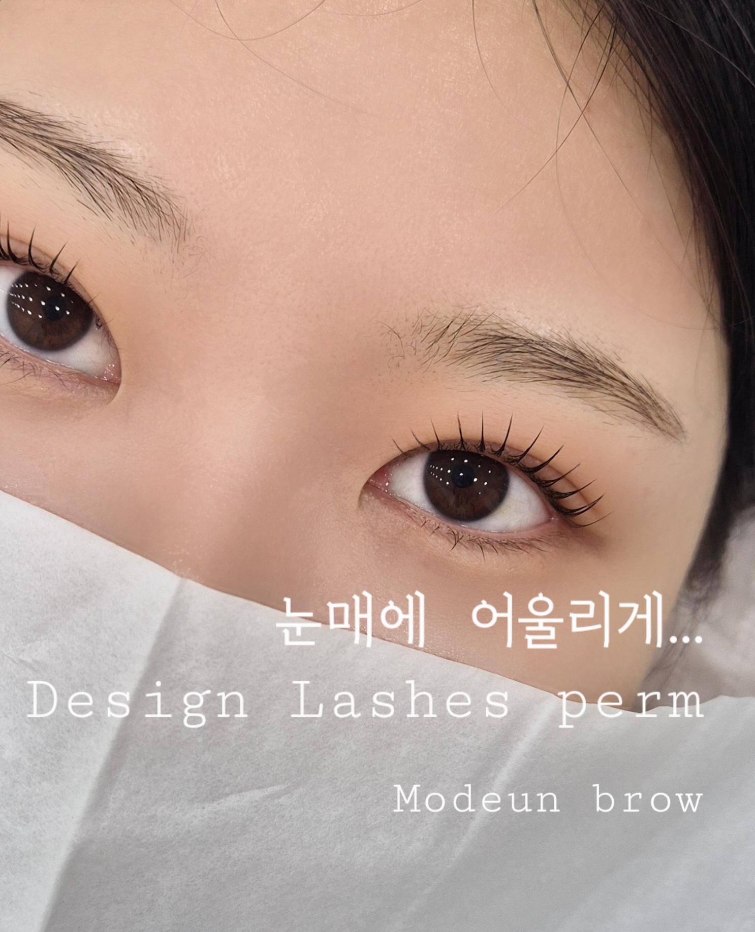 모든브로우