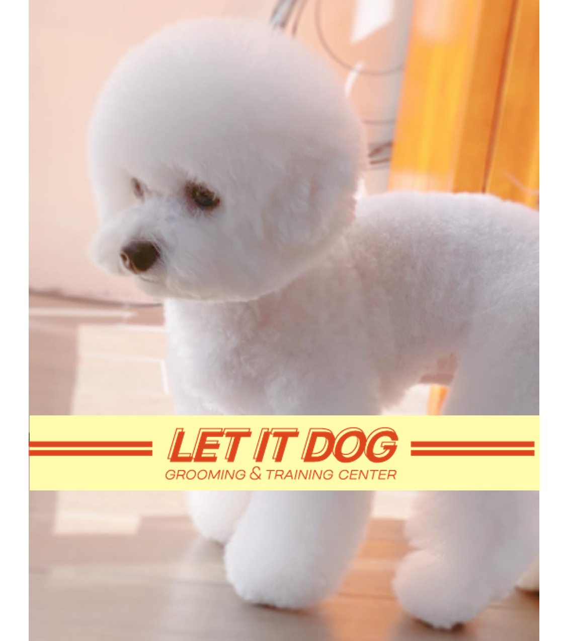 렛잇독 대표 이미지