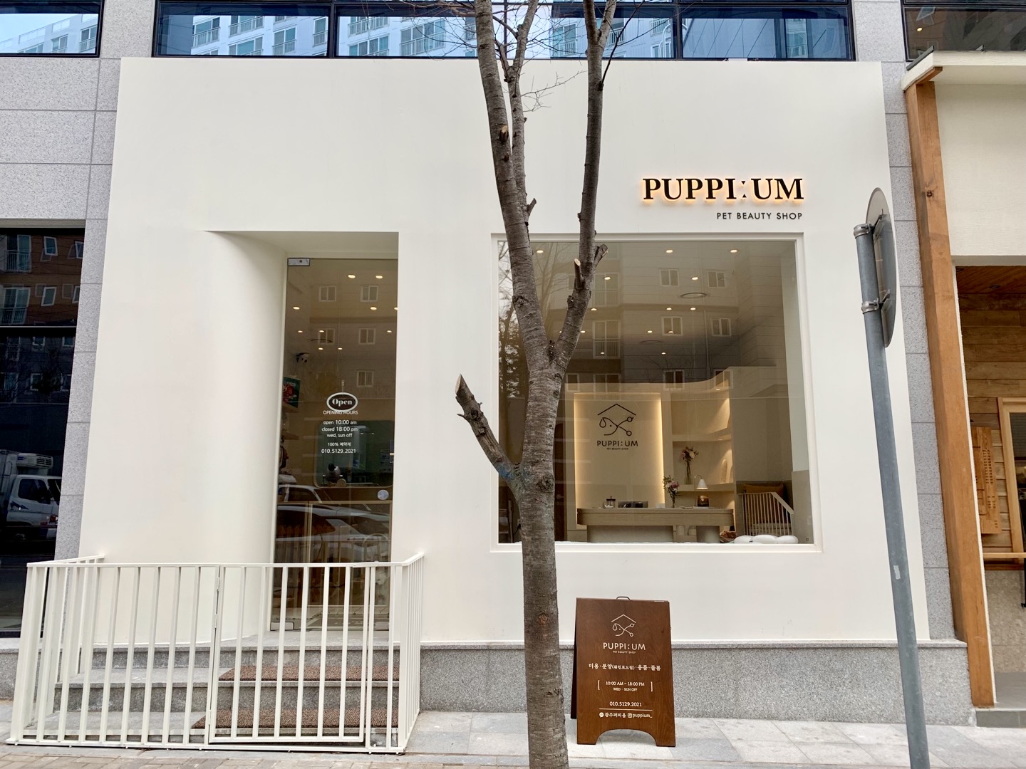 퍼피움 대표 이미지