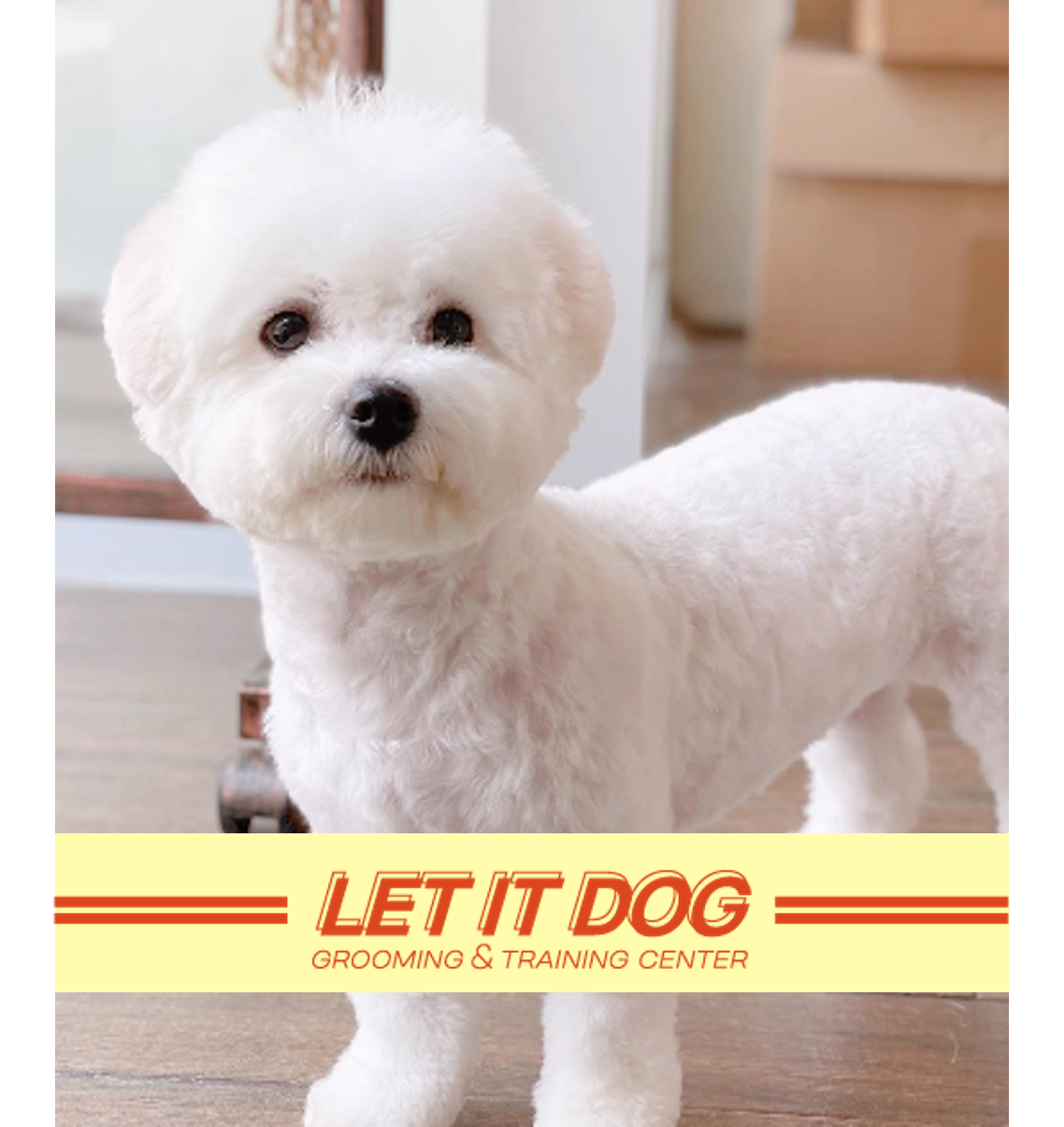 렛잇독 대표 이미지