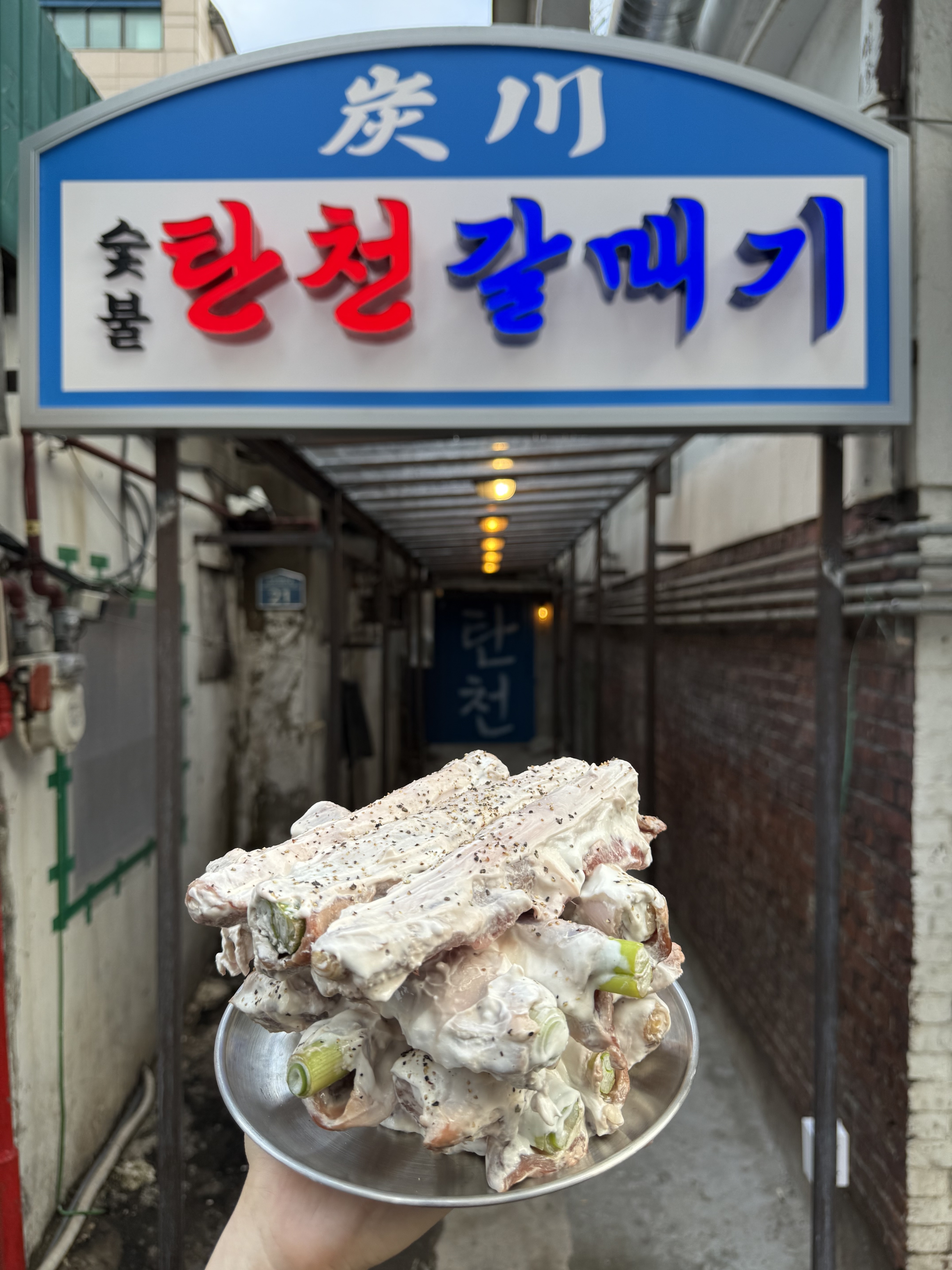 탄천갈매기 신용산