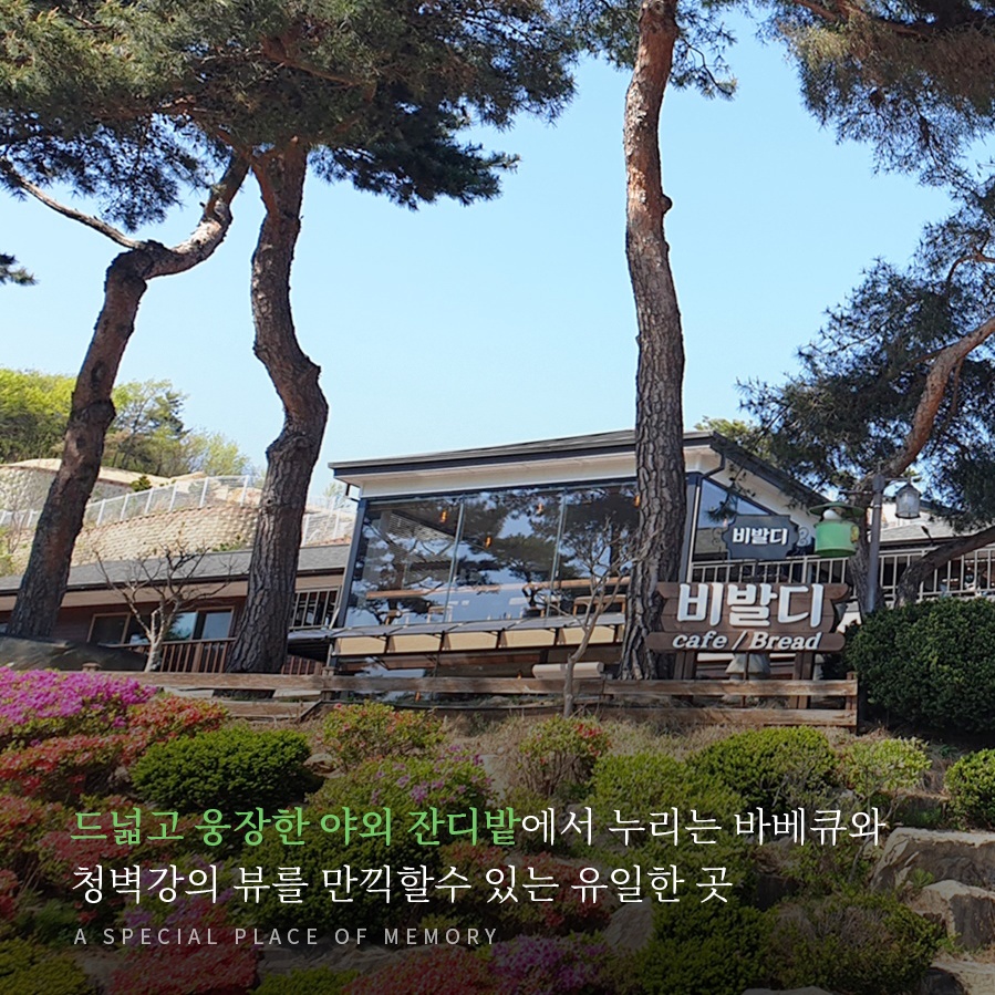 청벽비발디 세종시 애견숙소