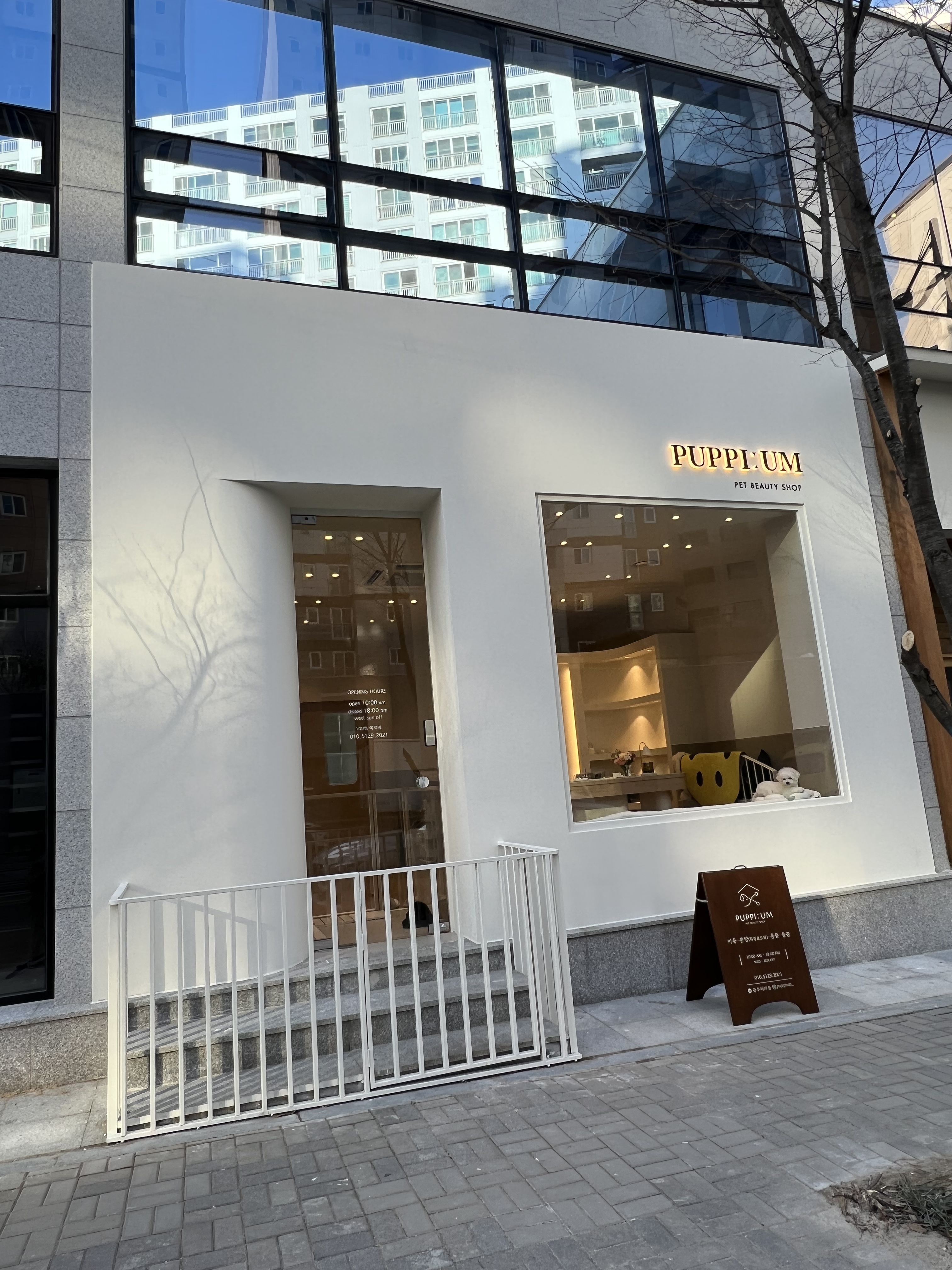 퍼피움 대표 이미지