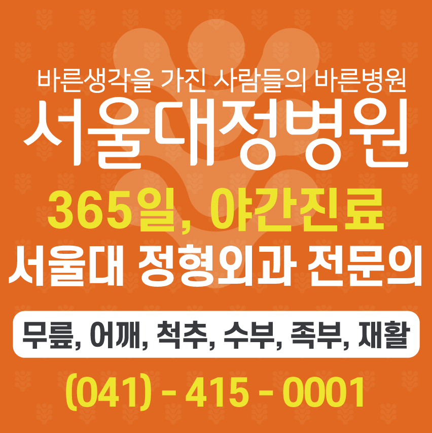 서울대정병원