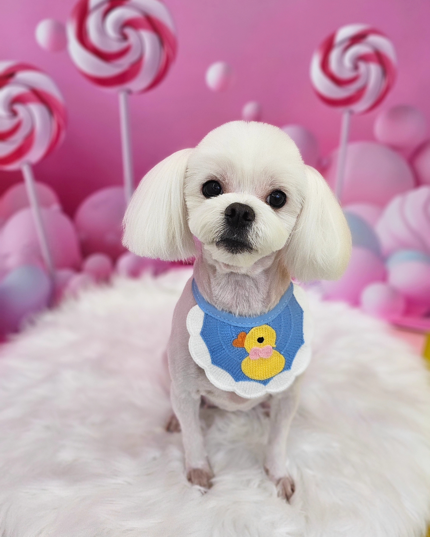 어썸하개 대표 이미지