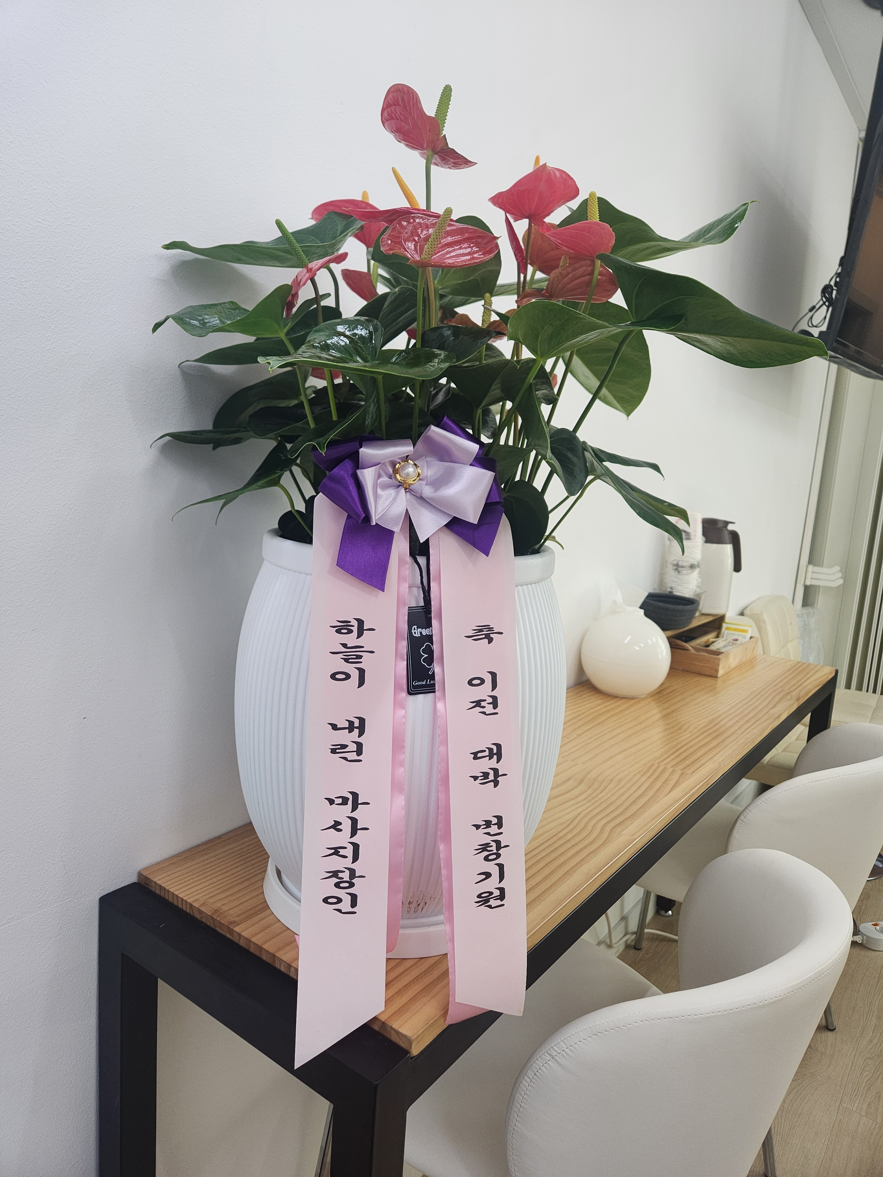 비채 photo 4