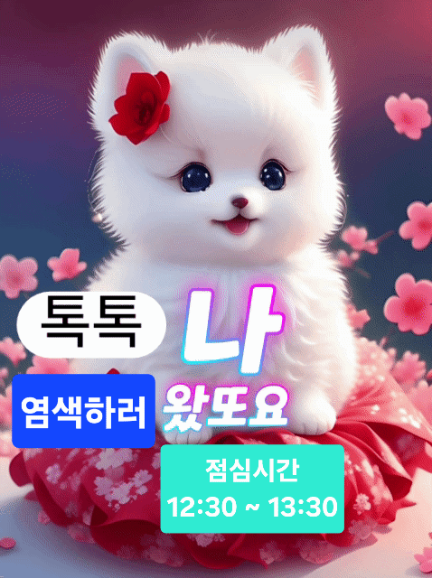 염색톡톡