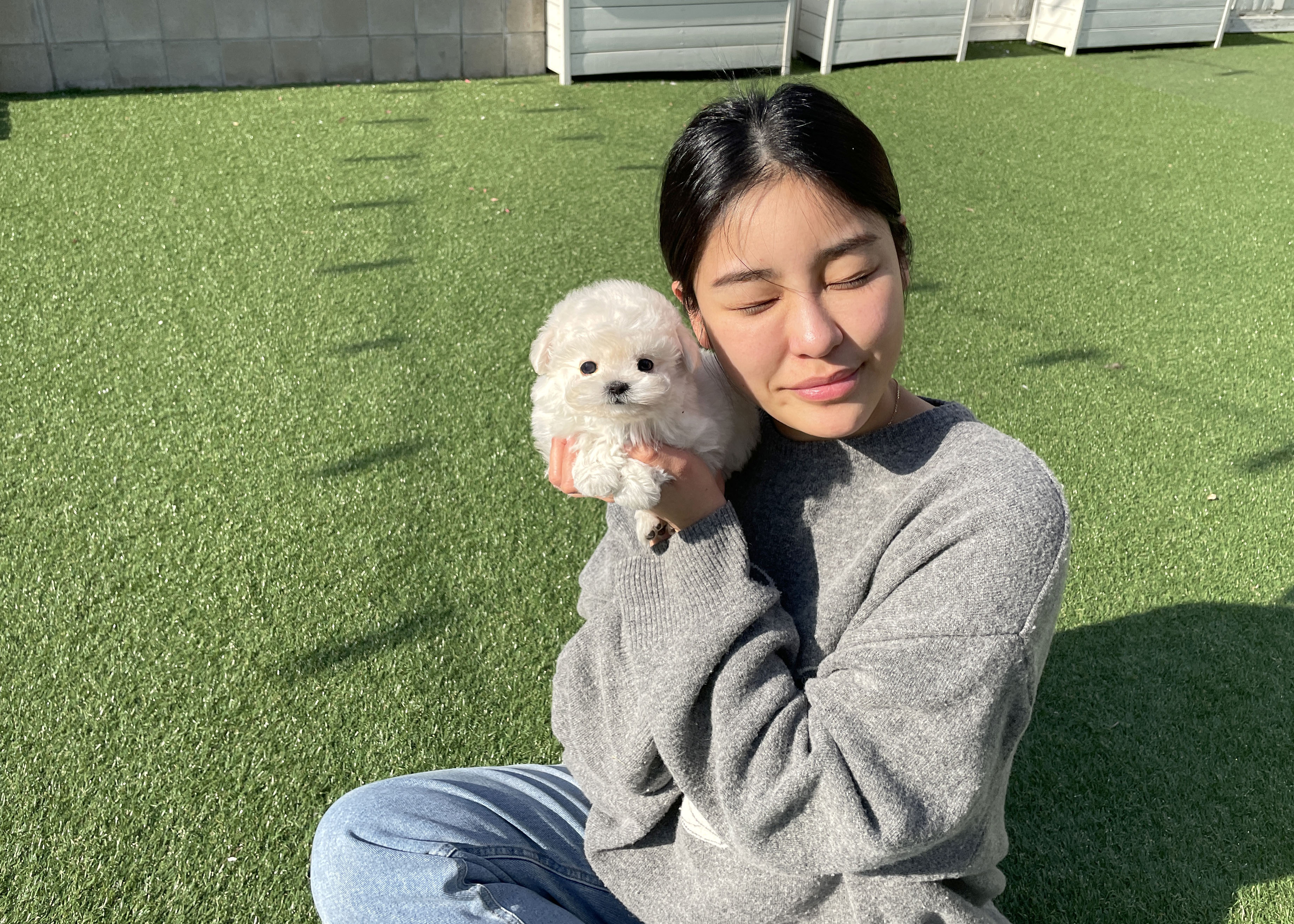 부산애견호텔 펫퍼센트 대표 이미지