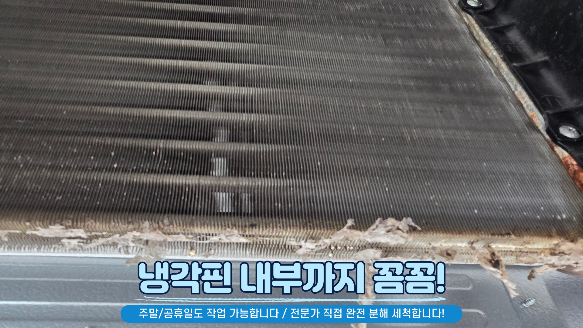 청주 에어컨청소 세탁기청소