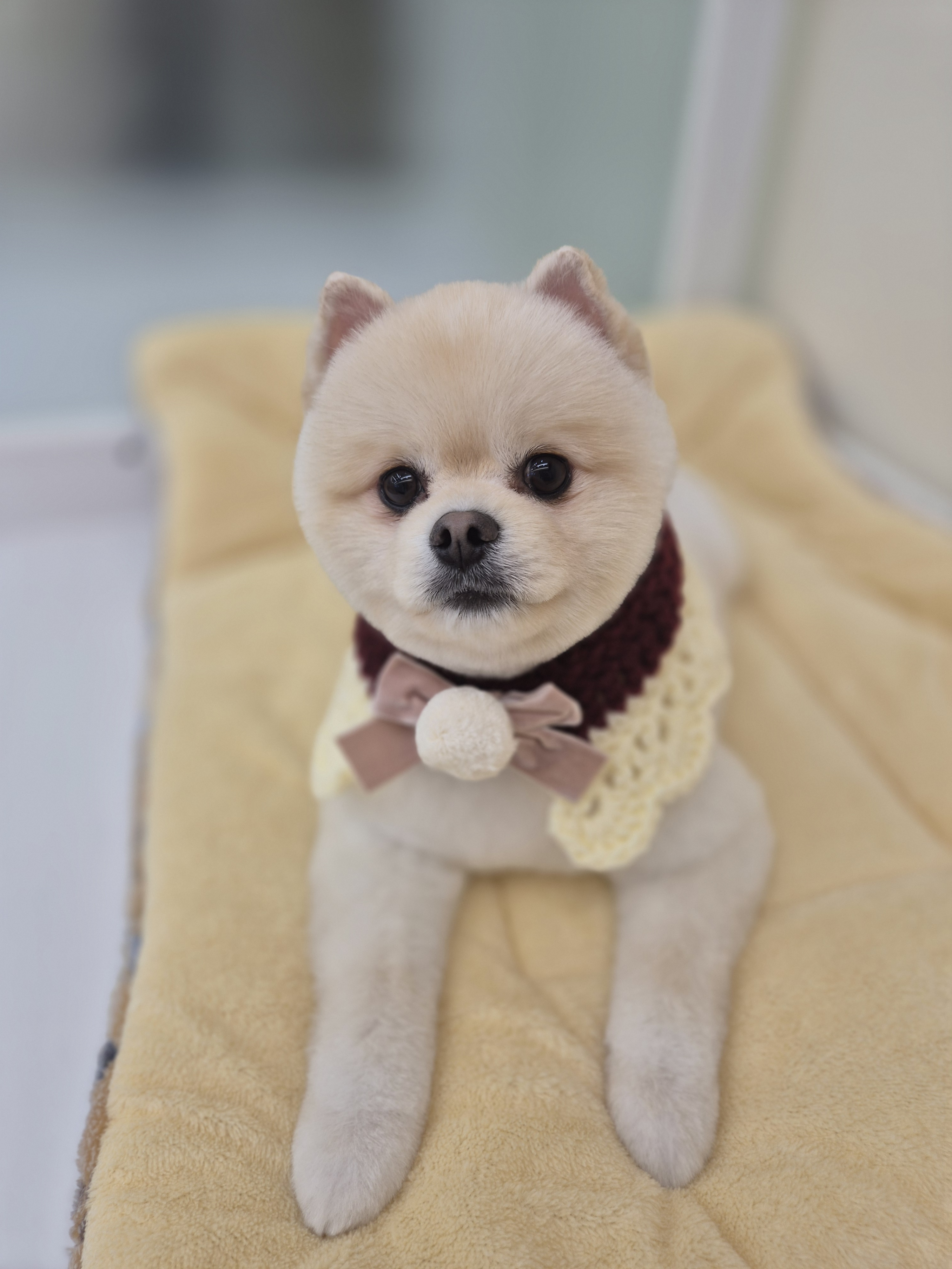 주주살롱