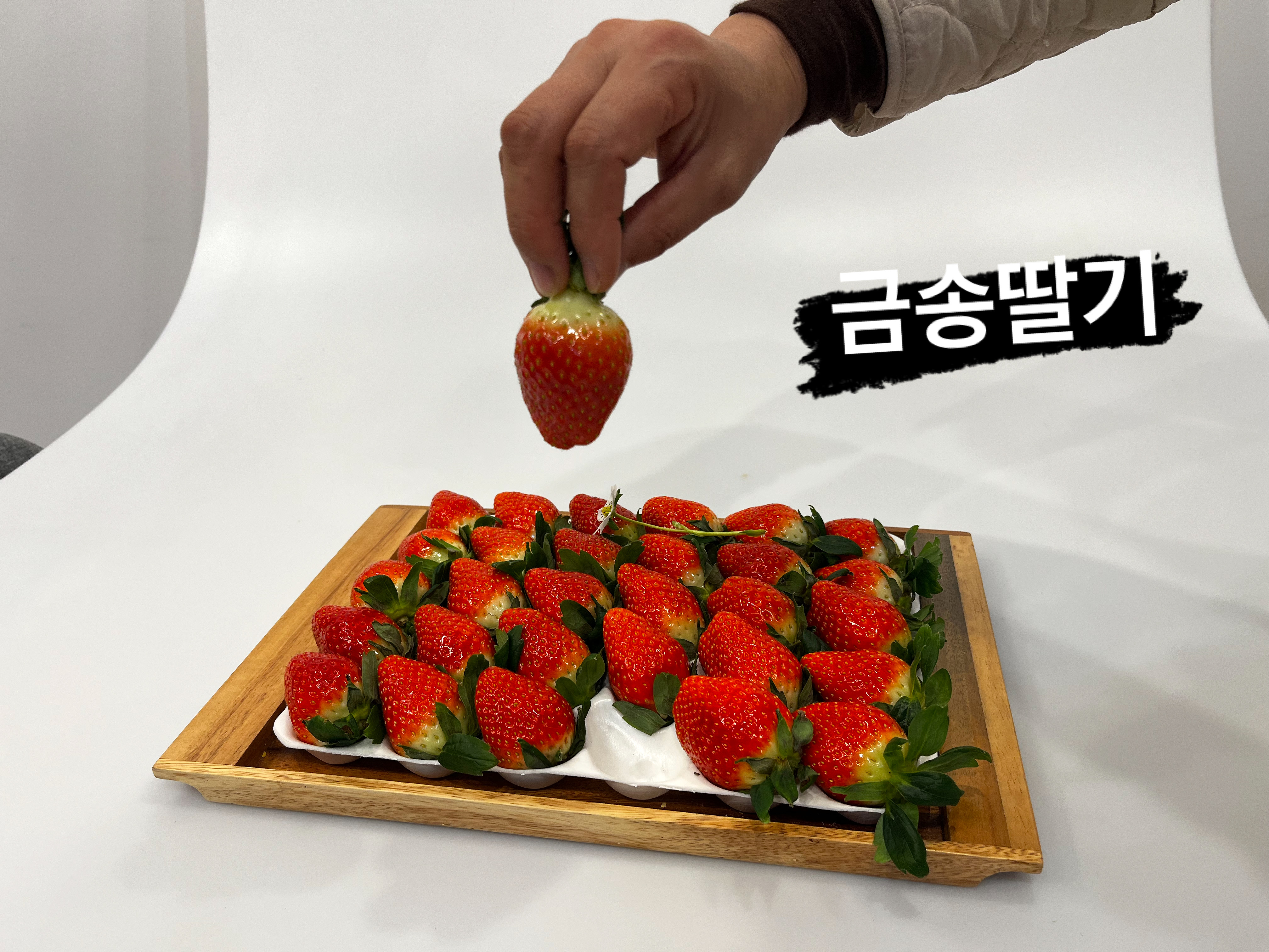 금송딸기농원 금송딸기체험농장