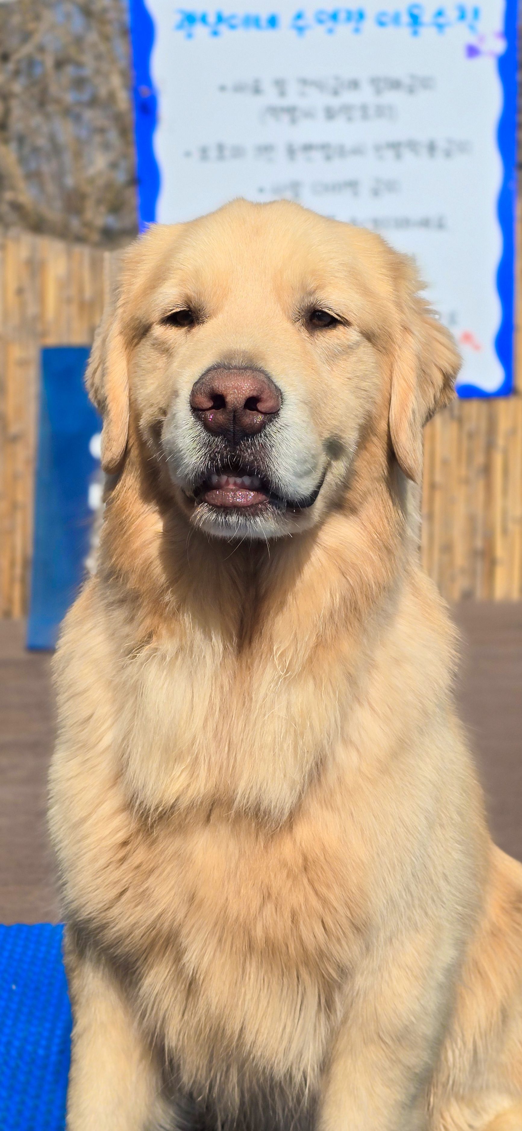 광남이네 대표 이미지