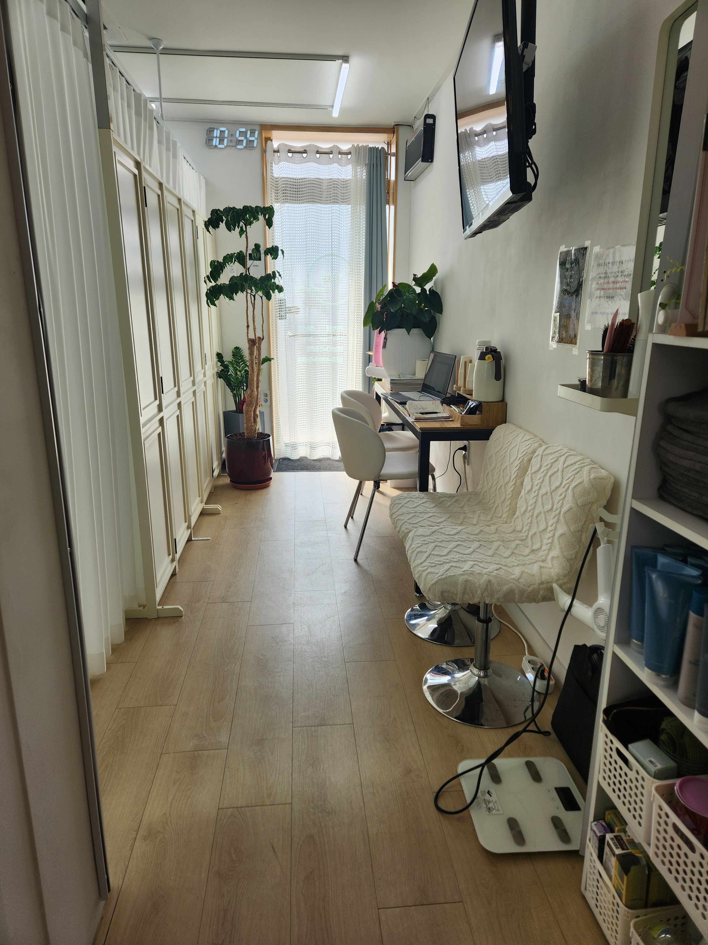 비채 photo 7