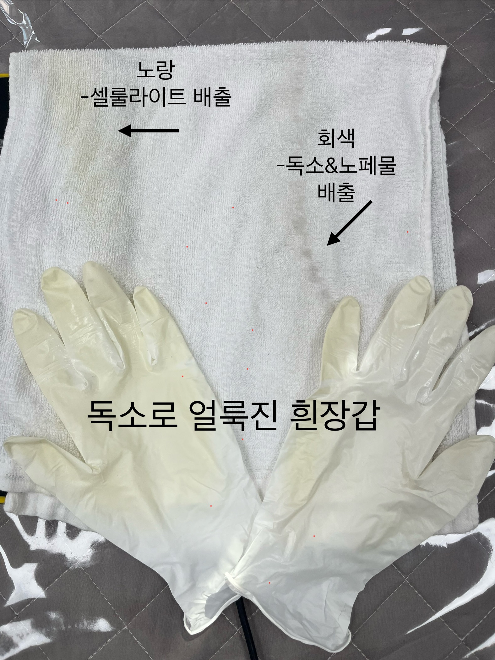 글로리뷰티 대표 이미지