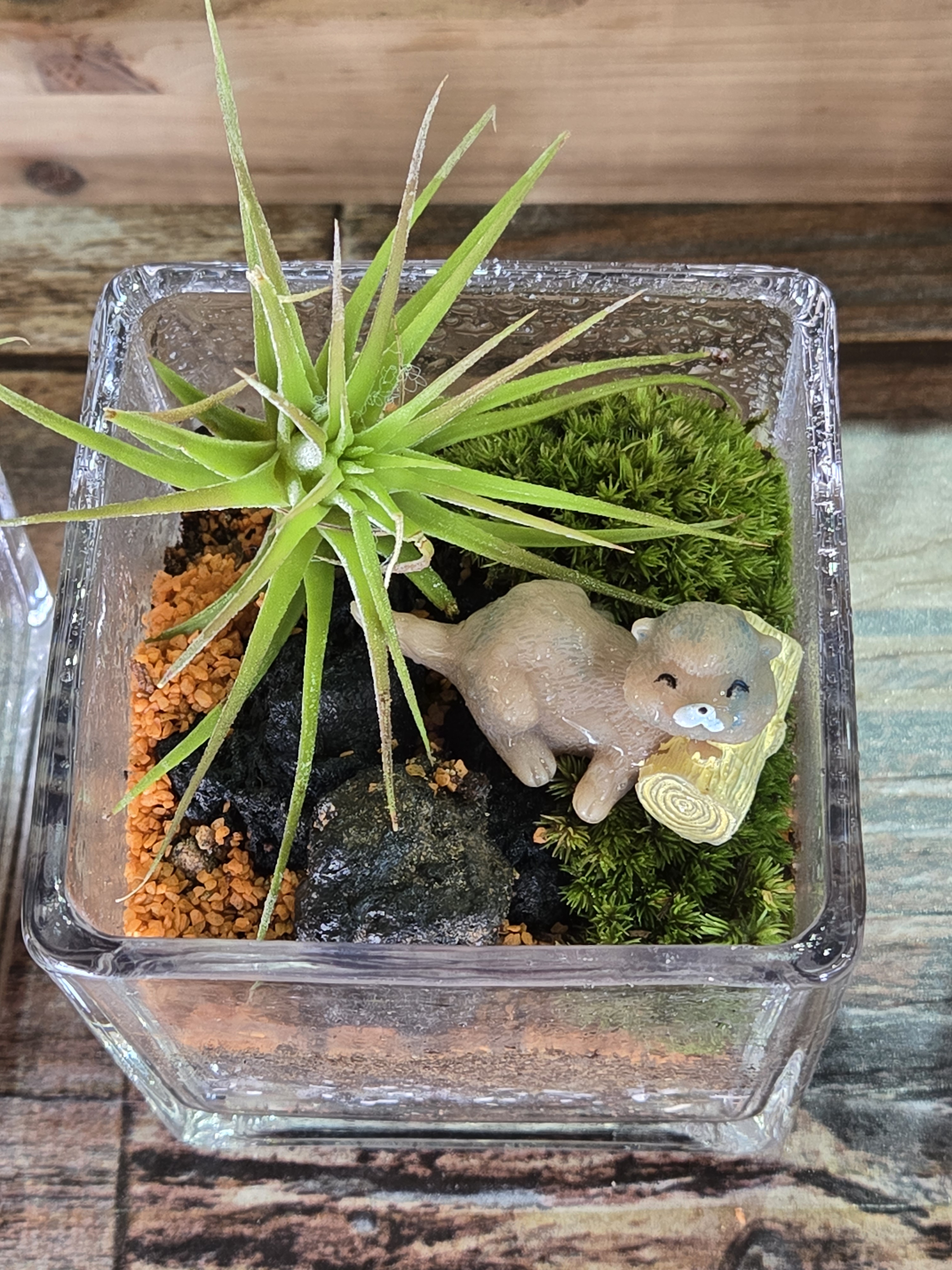 라니의꿈꾸는다락방