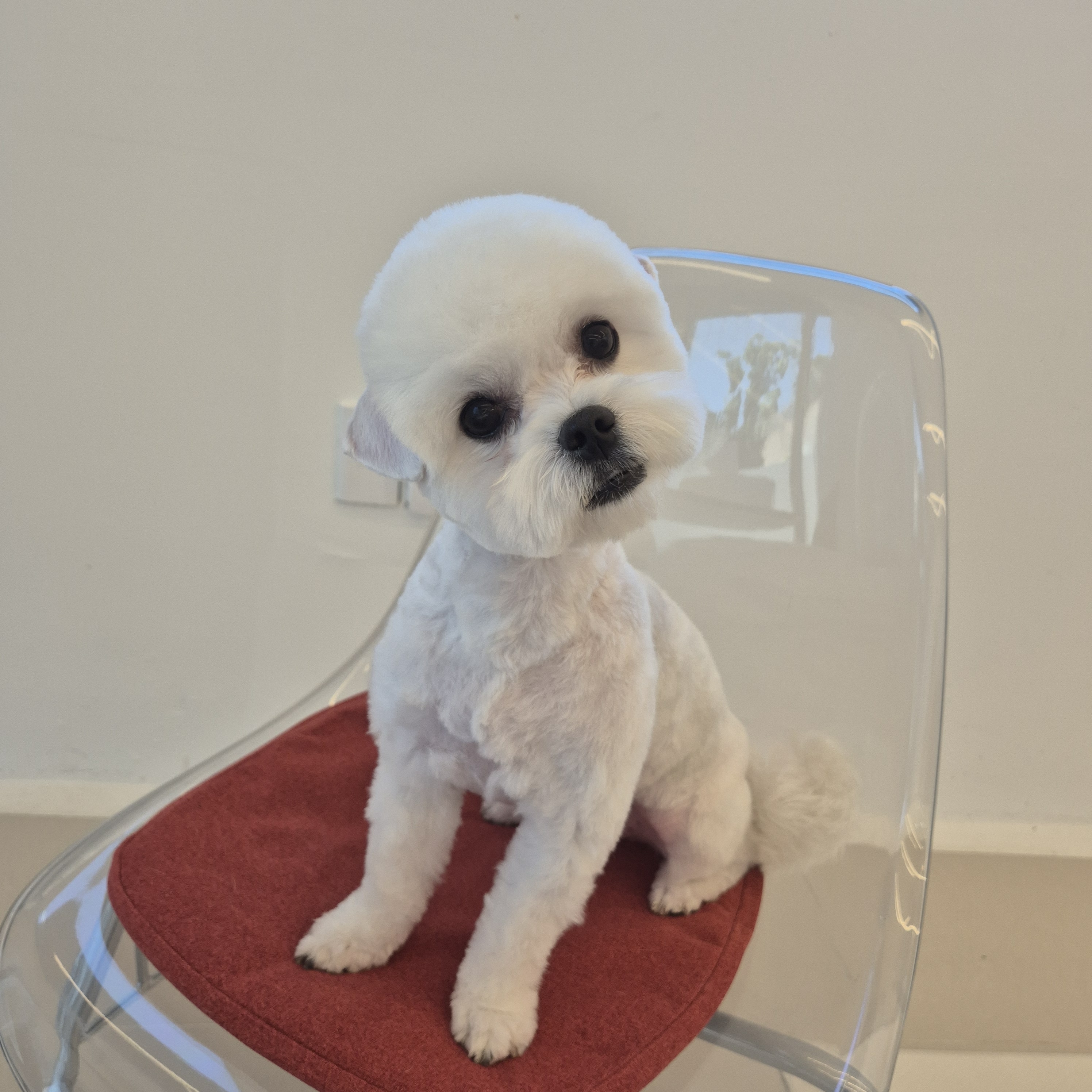 폴링인독 대표 이미지