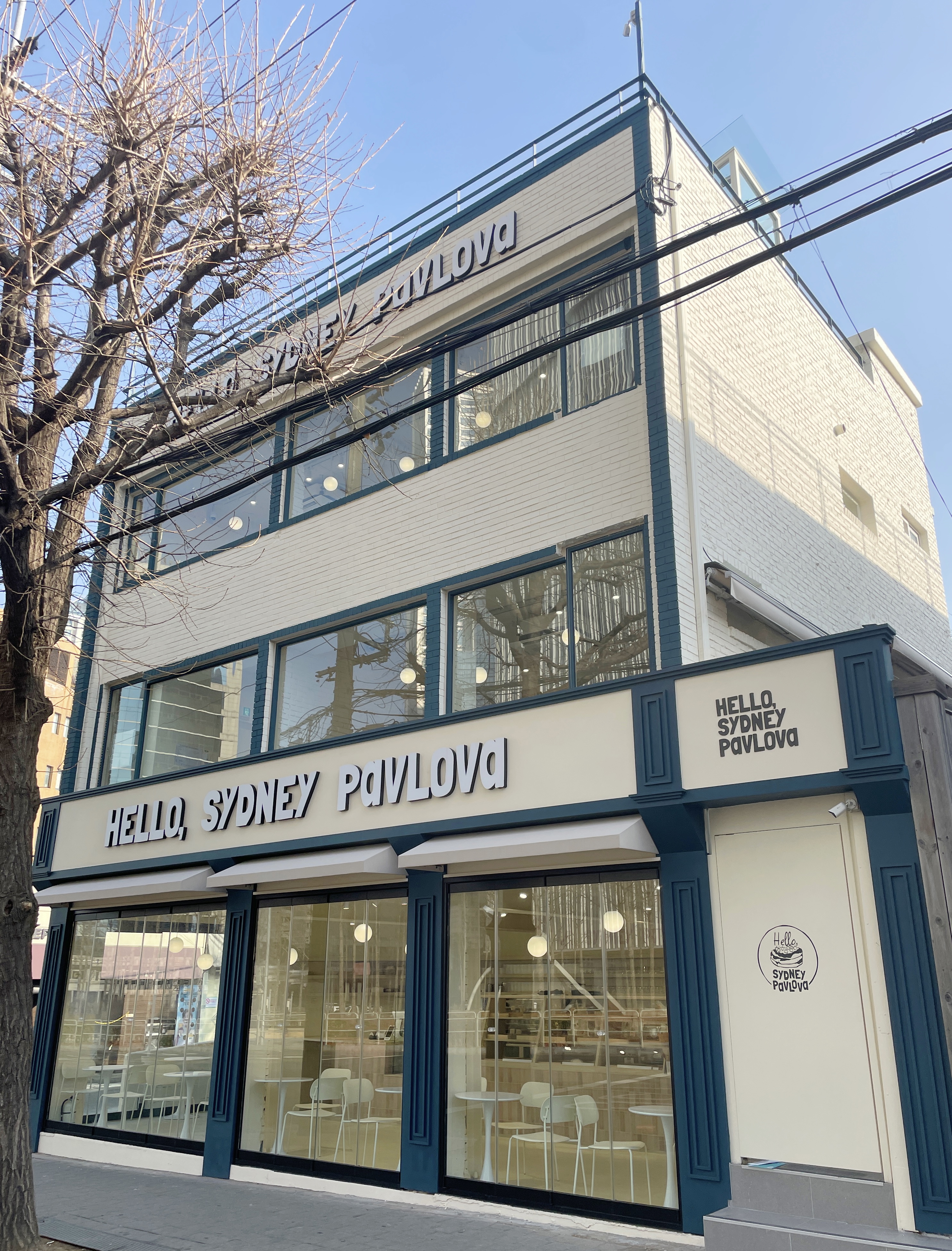 헬로 시드니 파블로바 설명사진