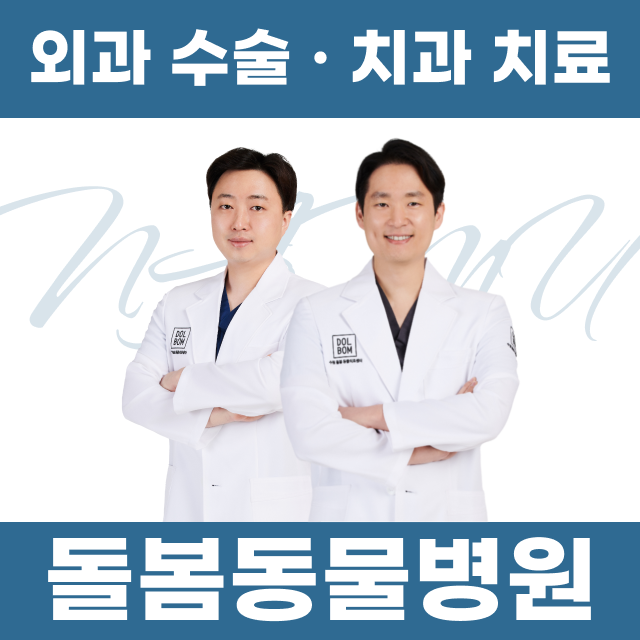 돌봄 동물병원