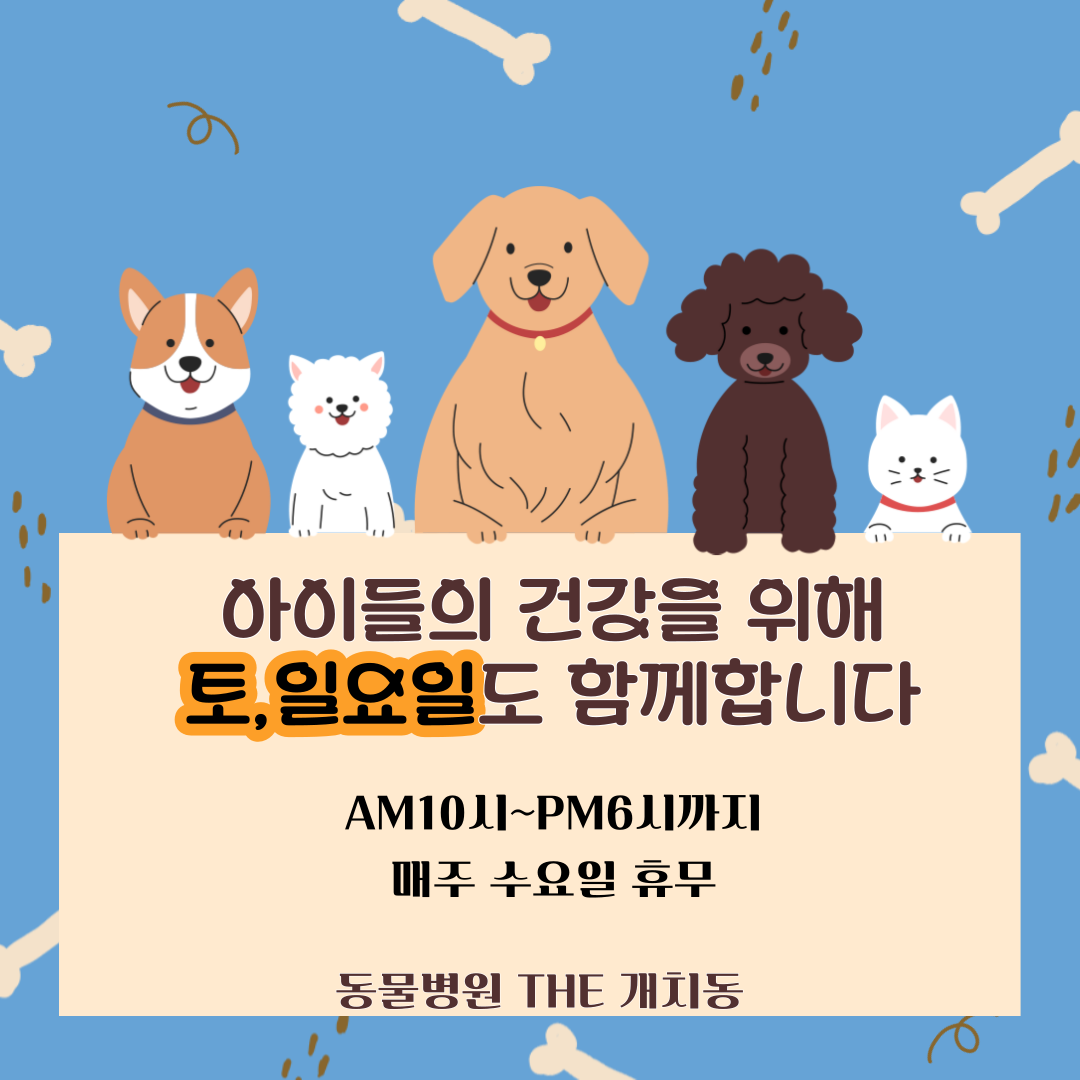 동물병원 THE개치동 대표 이미지
