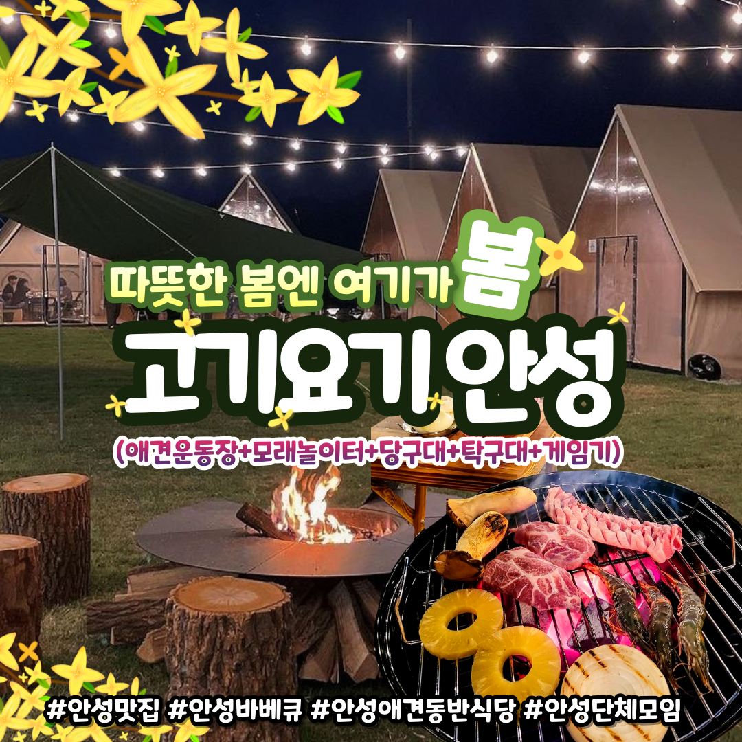 고기요기 안성 반려동물 동반 애견카페