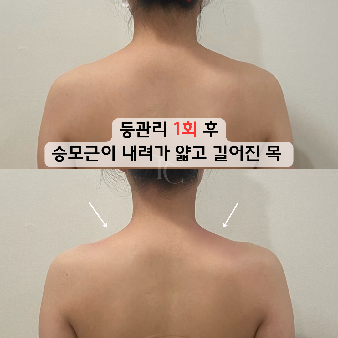 더셀라 photo 7