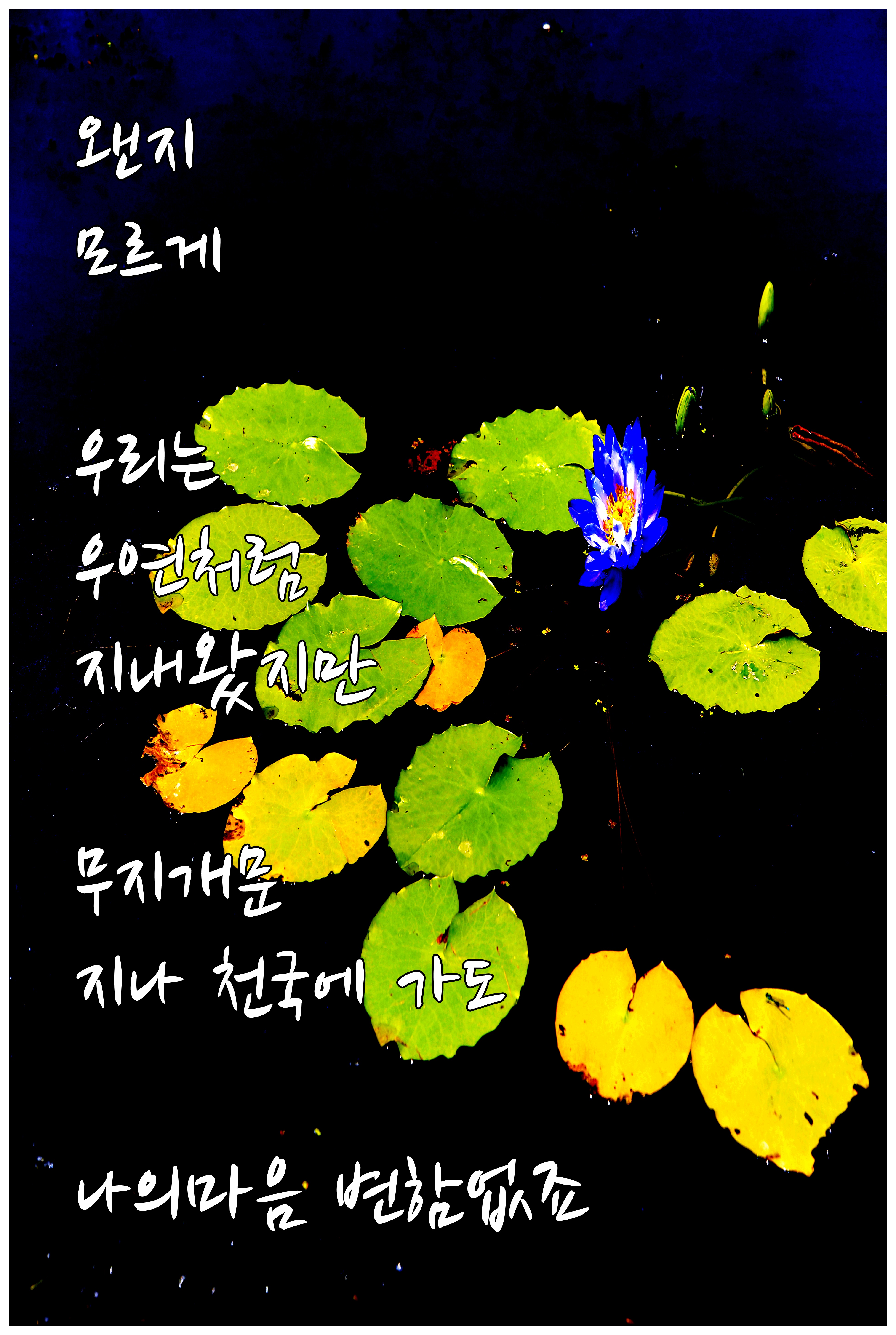 용주산업개발