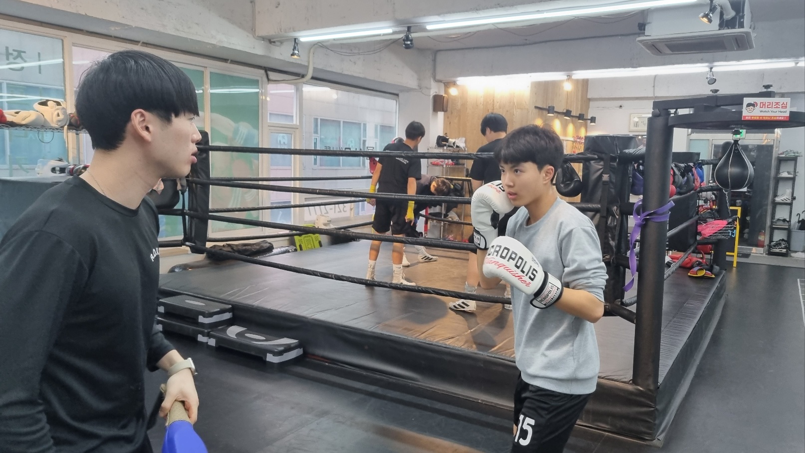 올라이프복싱