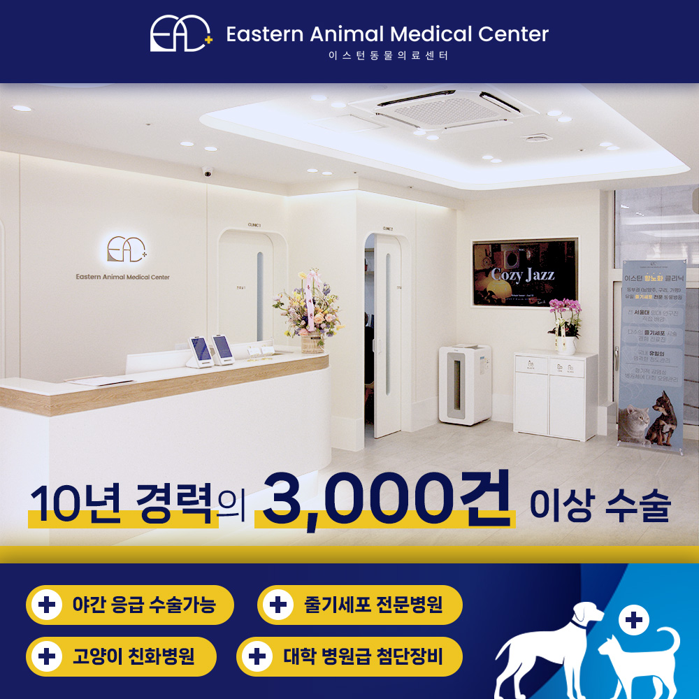 이스턴동물의료센터
