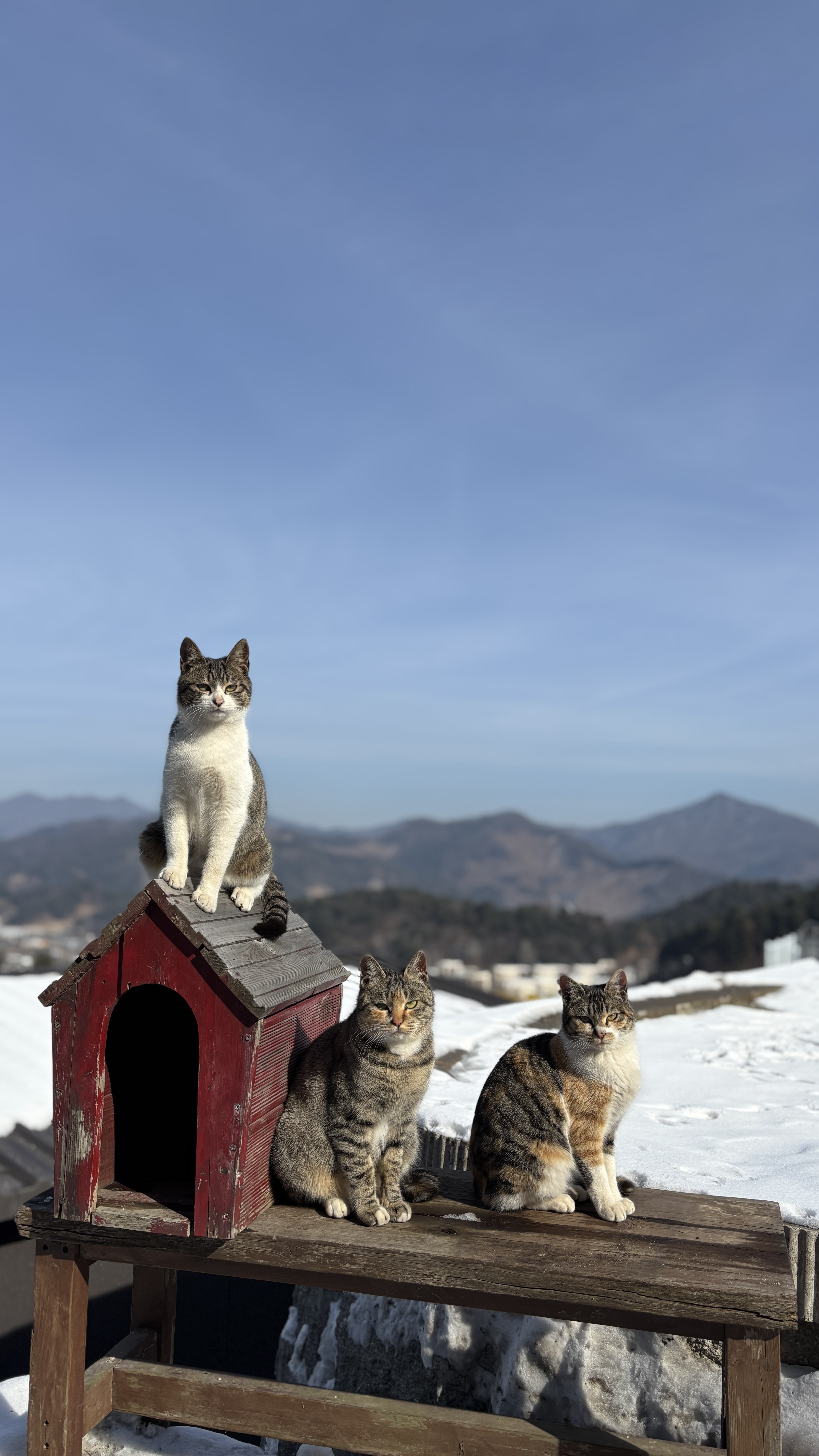 온더락캠핑장