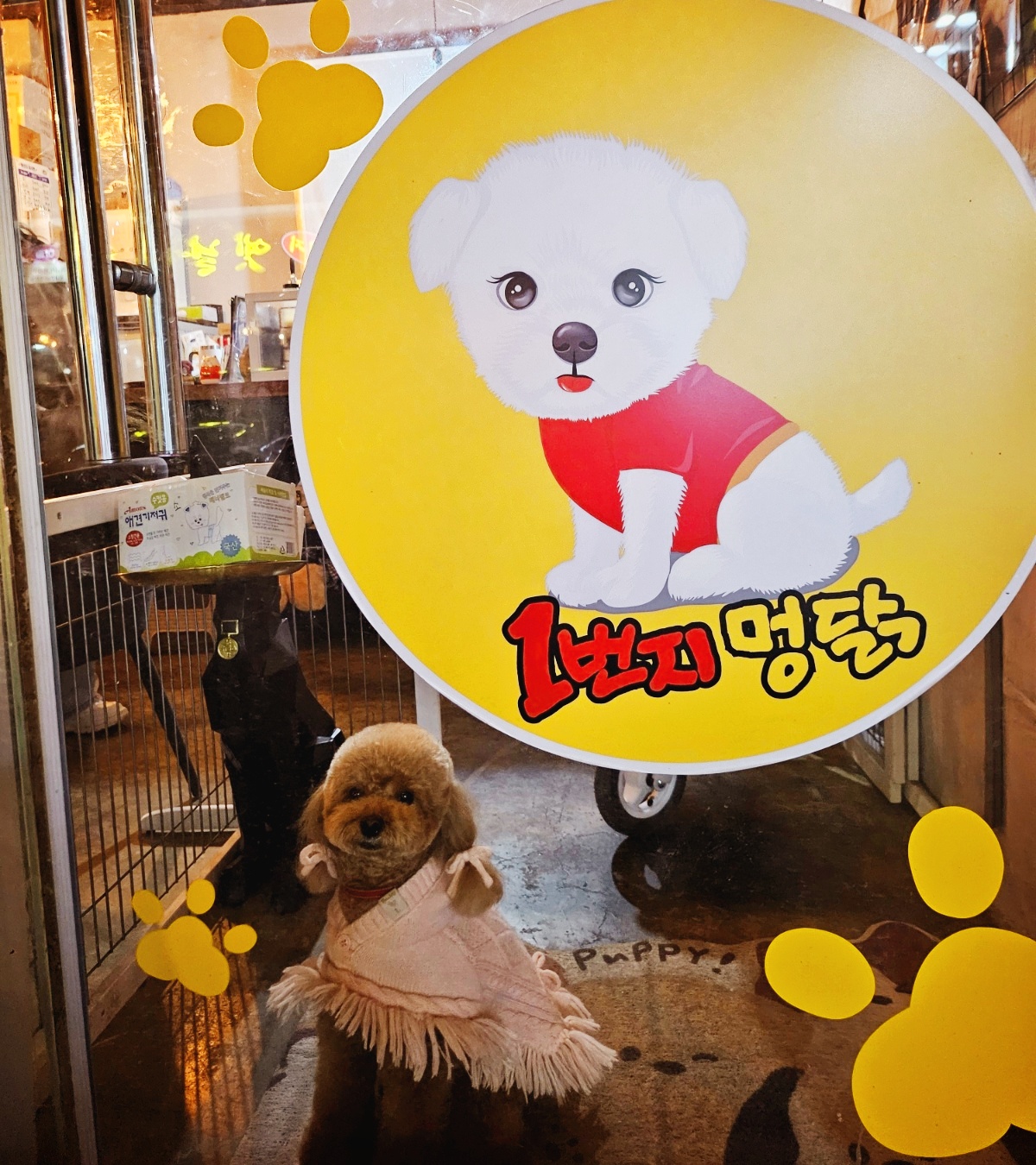 1번지 멍닭 대표 이미지
