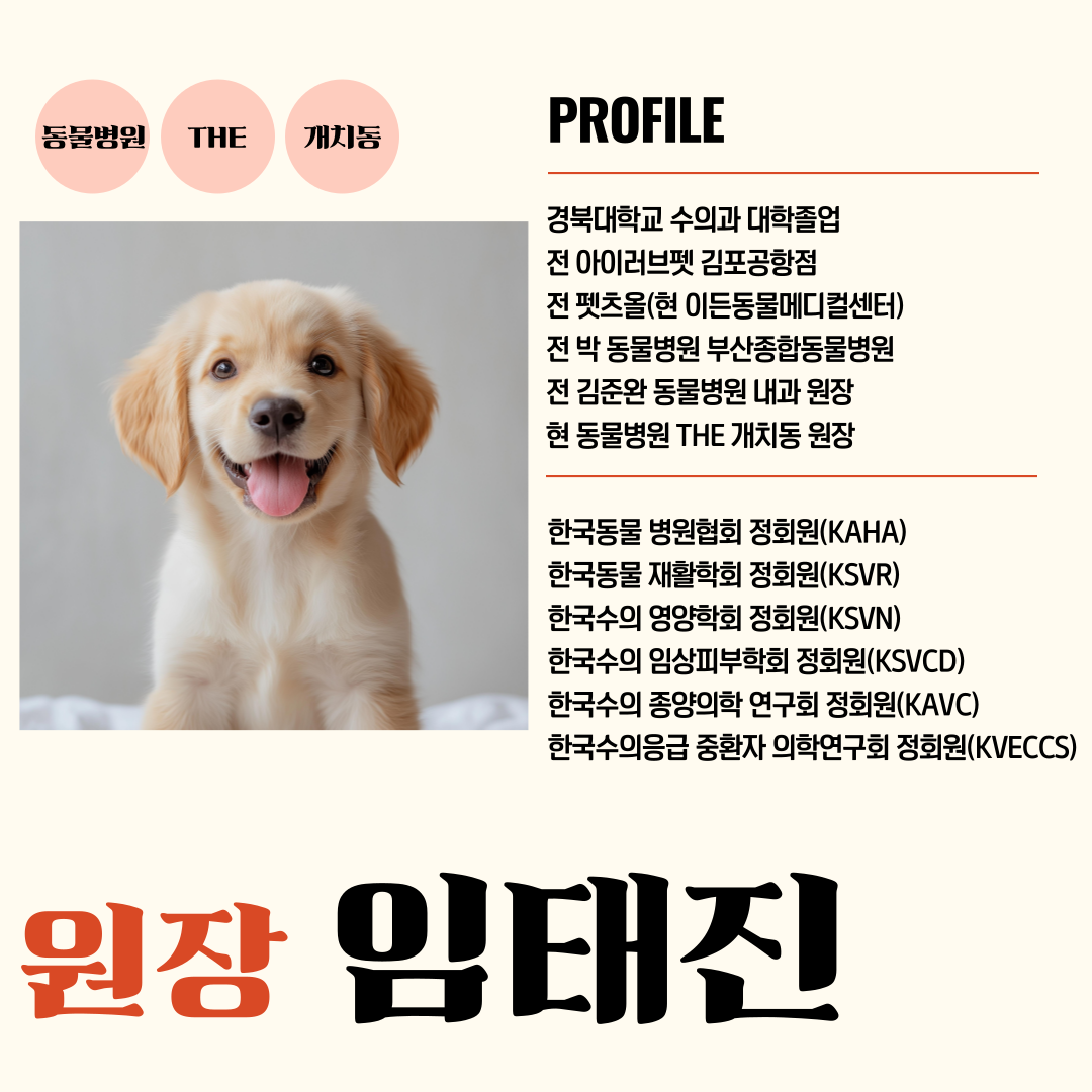 동물병원 THE개치동 대표 이미지