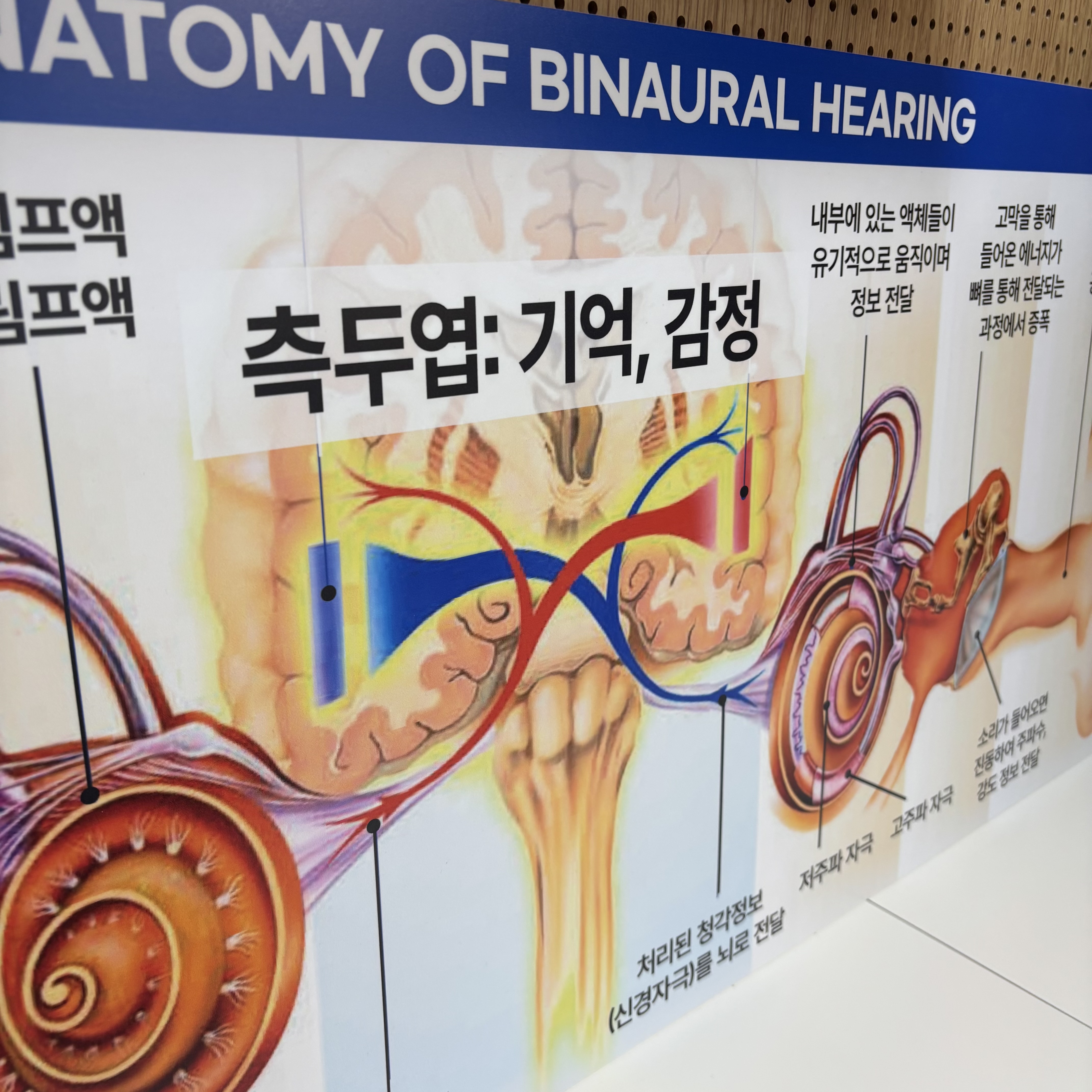 다비치히어링 가정역루원시티점 대표 이미지