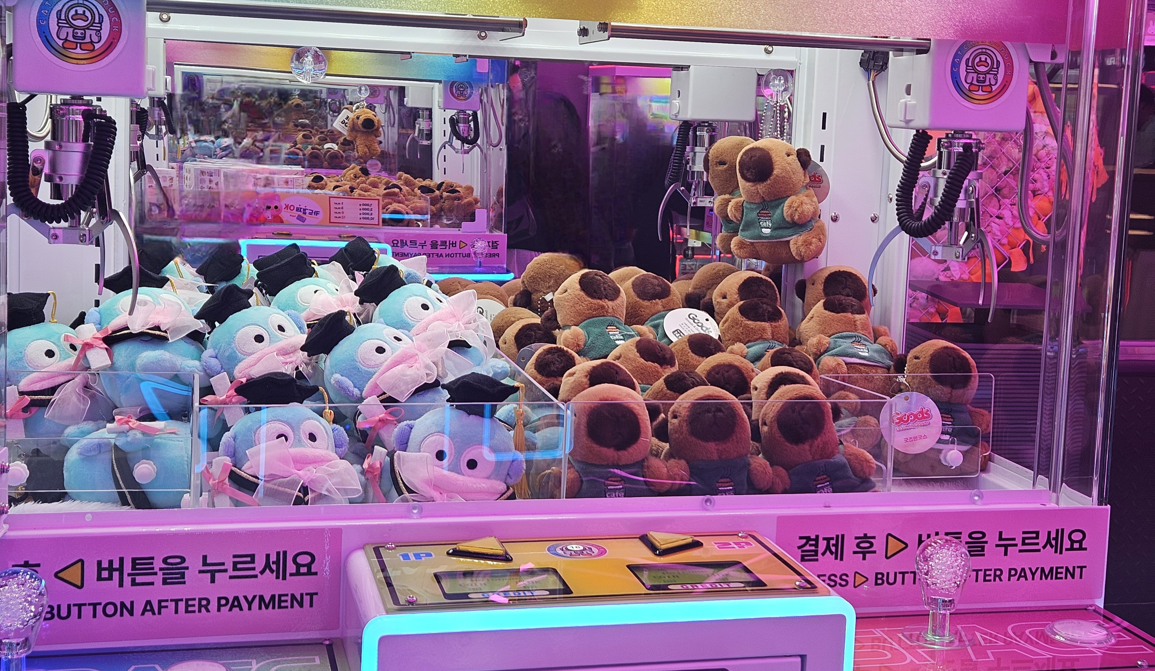 슈퍼베어 인형뽑기방