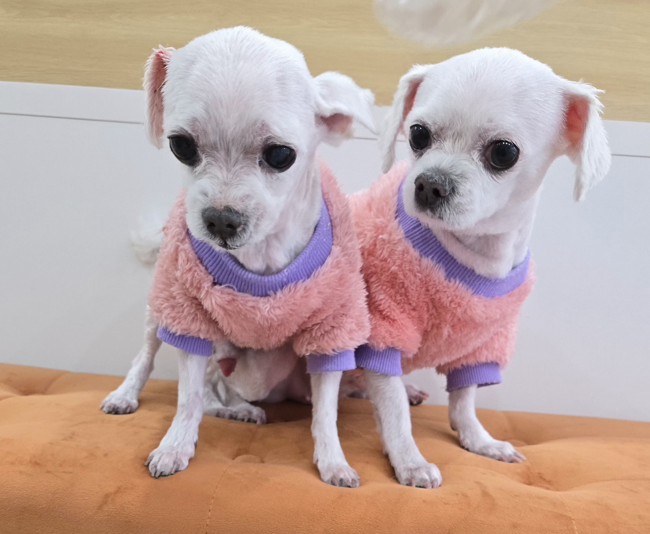 이쁘개멋지개 대표 이미지