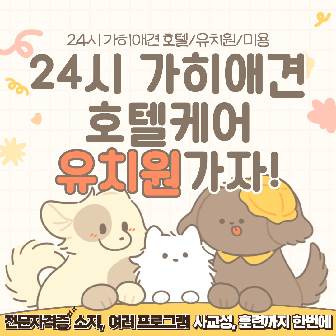 가히애견 광진건대점 대표 이미지