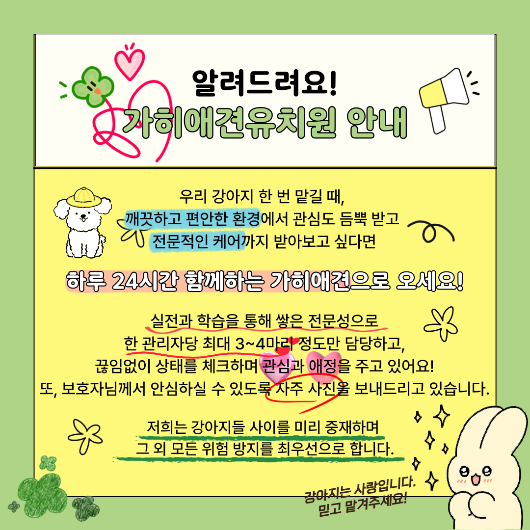 가히애견 광진건대점 대표 이미지